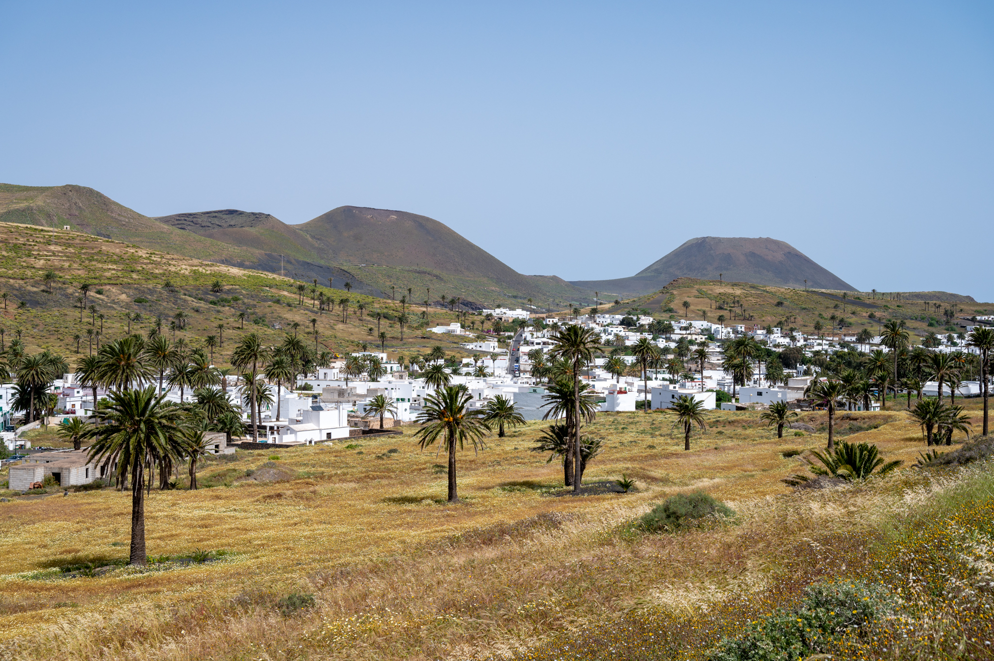 Wandern im Haria Tal, dem Tal der 1000 Palmen