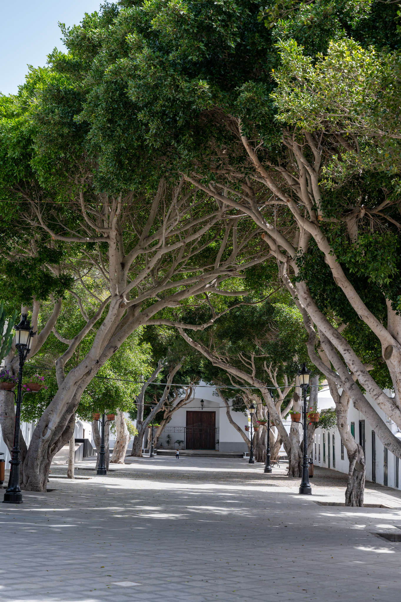 Zentrum von Haria auf Lanzarote