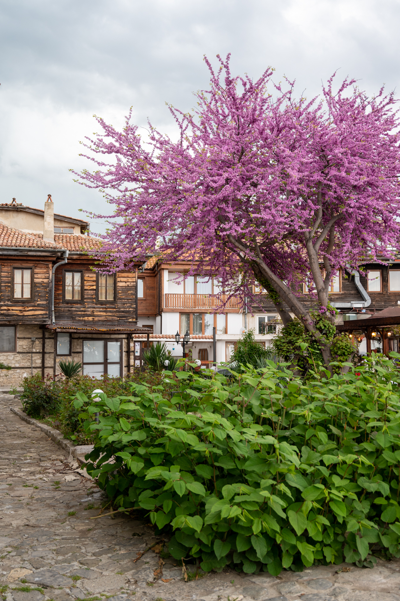 Architektur in Nessebar