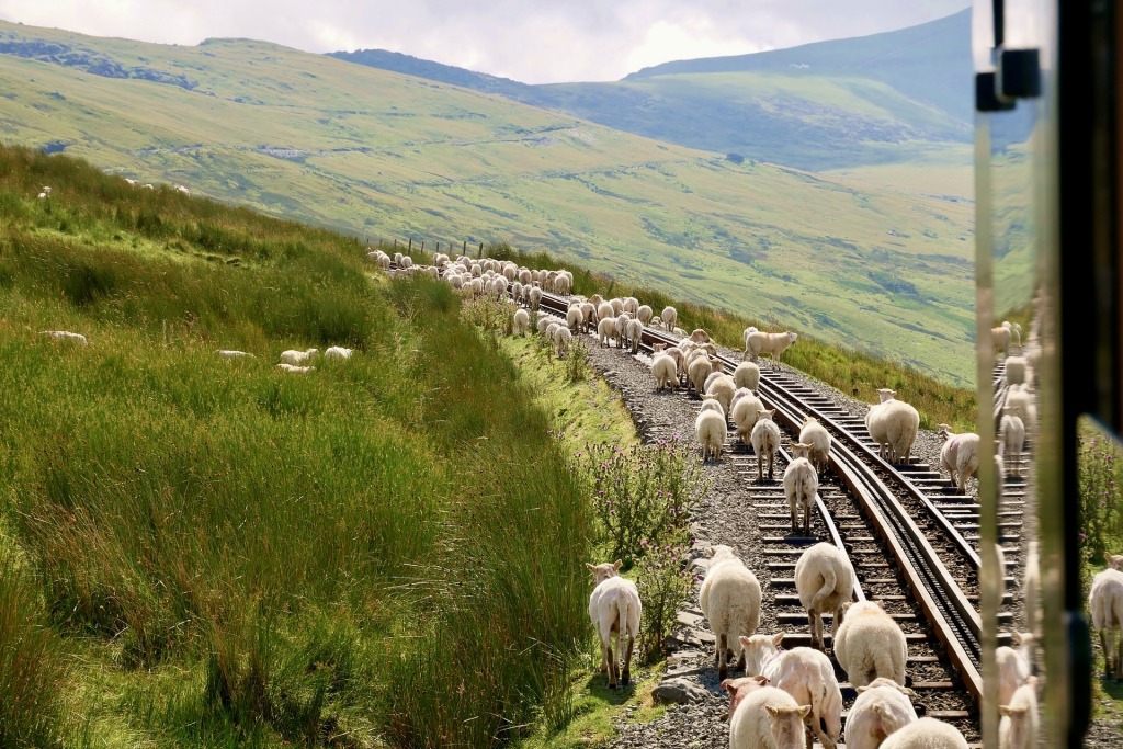 Der Talyllyn Railway gehört zu den schönsten Zugstrecken in Europa