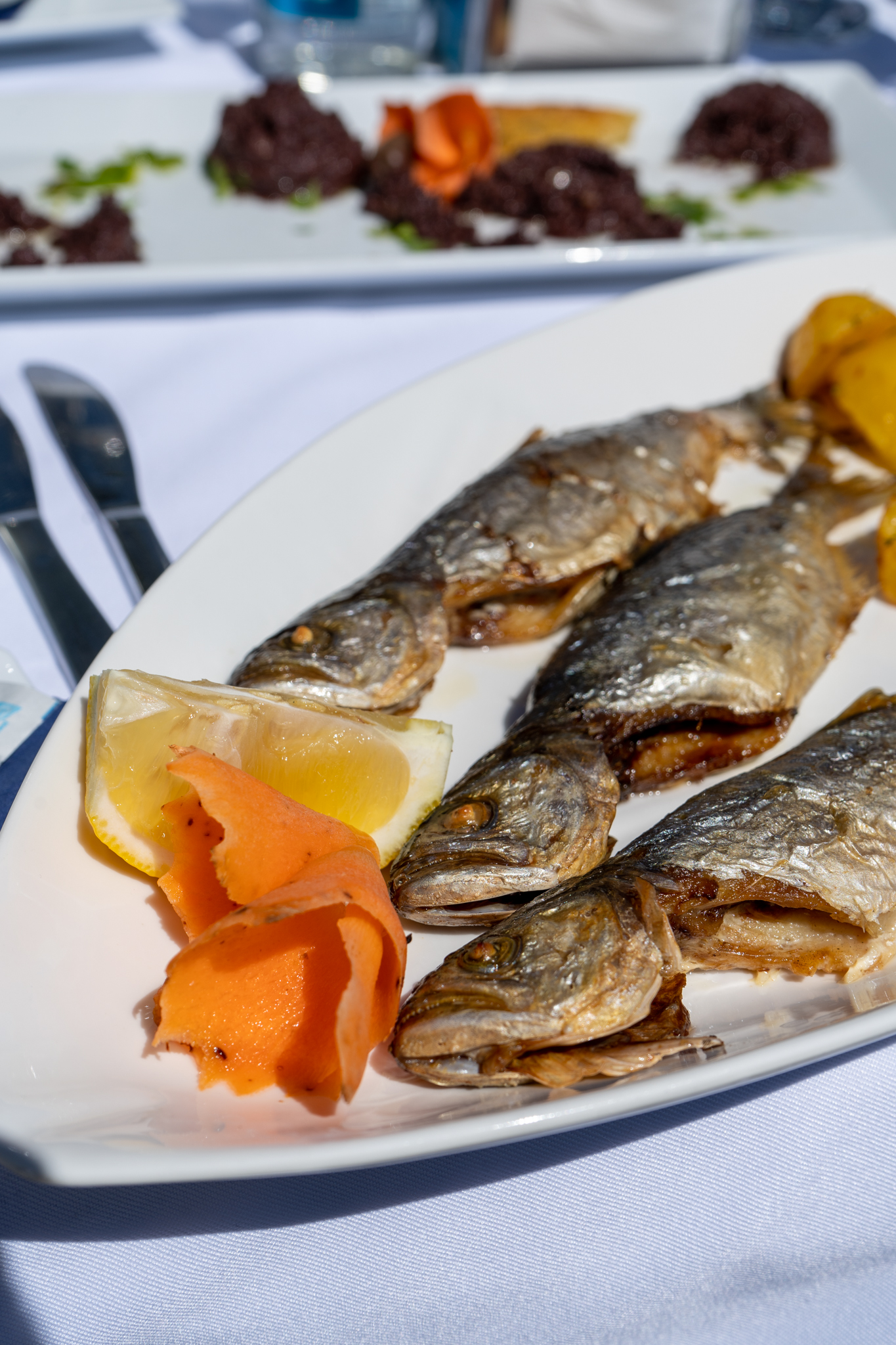 Fisch in Bulgarien