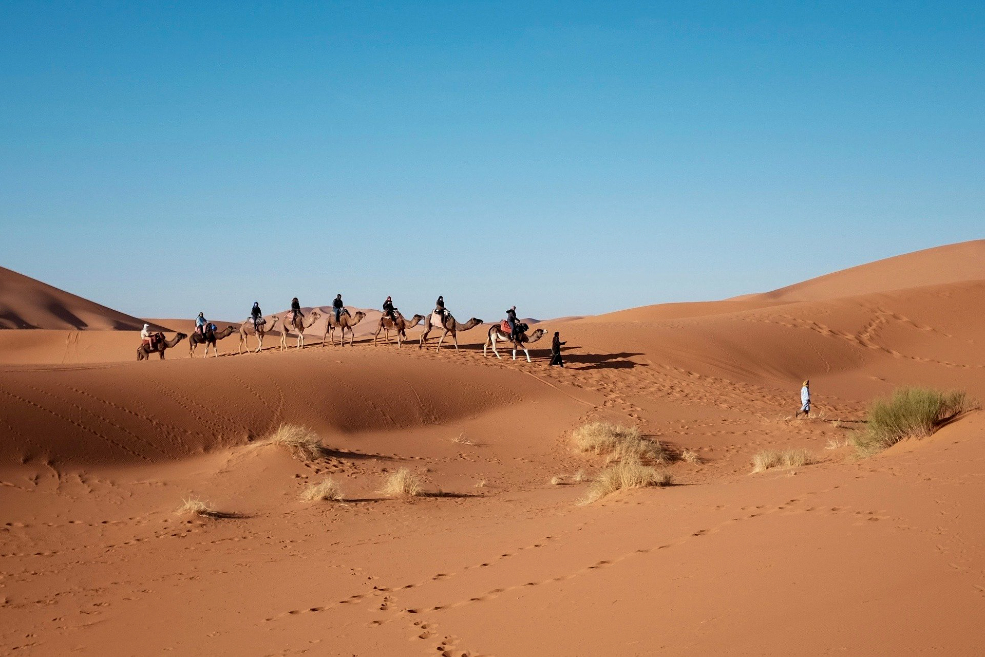 Wüstentour in Ägypten
