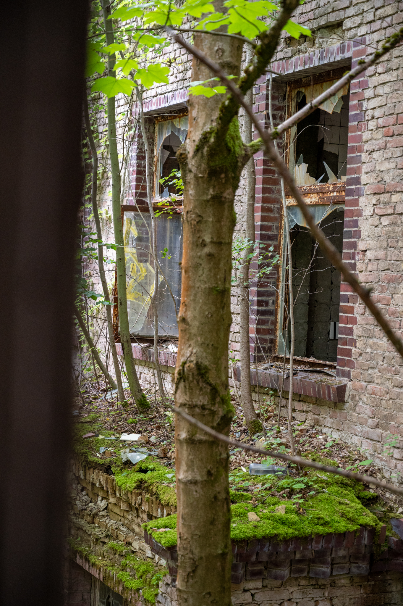 Blick in den Innenhof der Alten Chirurgie in Beelitz
