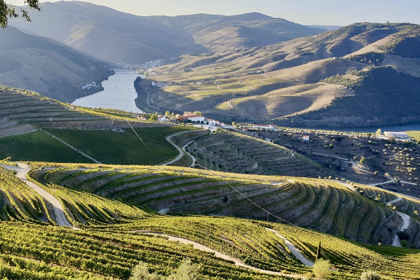 Douro-Tal in Portugal