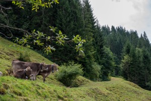 Balderschwang Tipps