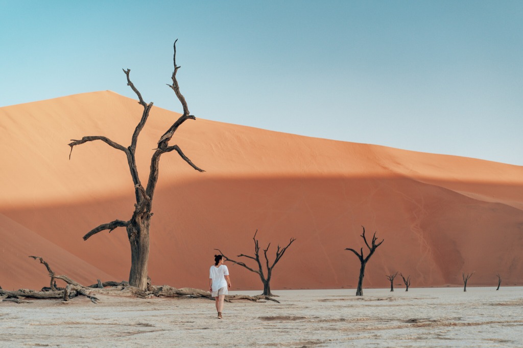 Namibia Sehenswürdigkeiten: Deadvlei