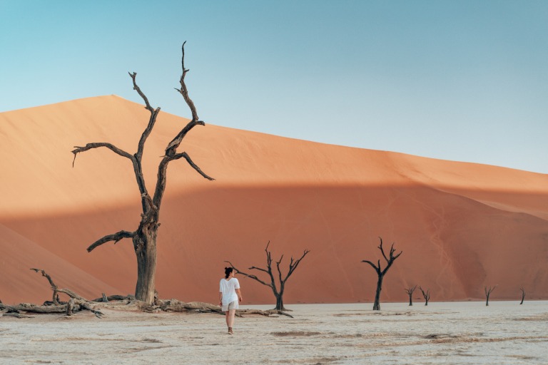 Namibia Sehenswürdigkeiten: Deadvlei