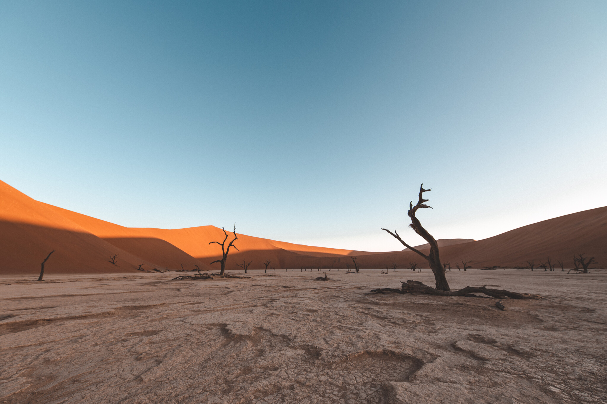 Deadvlei in Namibia