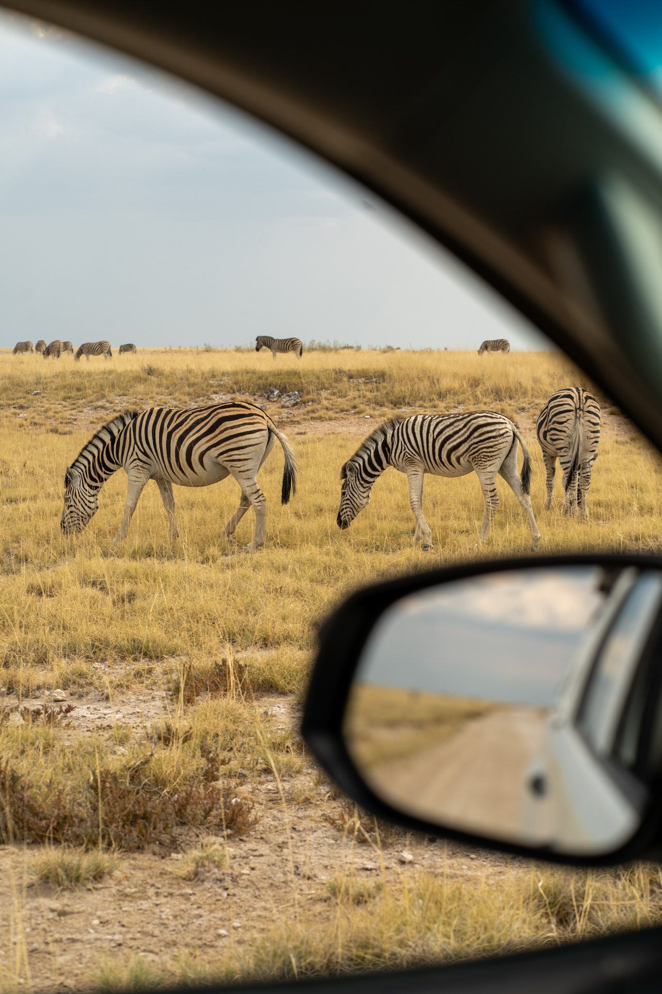 Etosha Nationalpark in Namibia