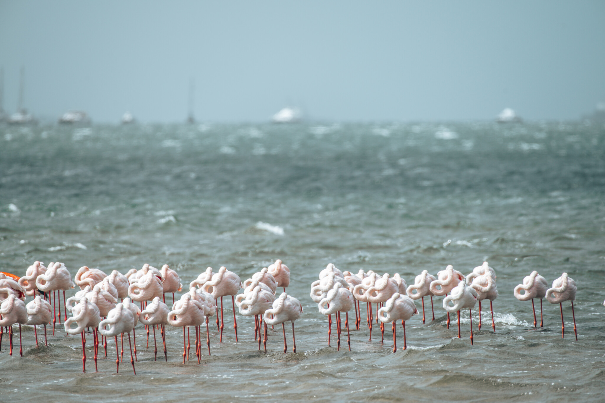 Walvis Bay in Namibia