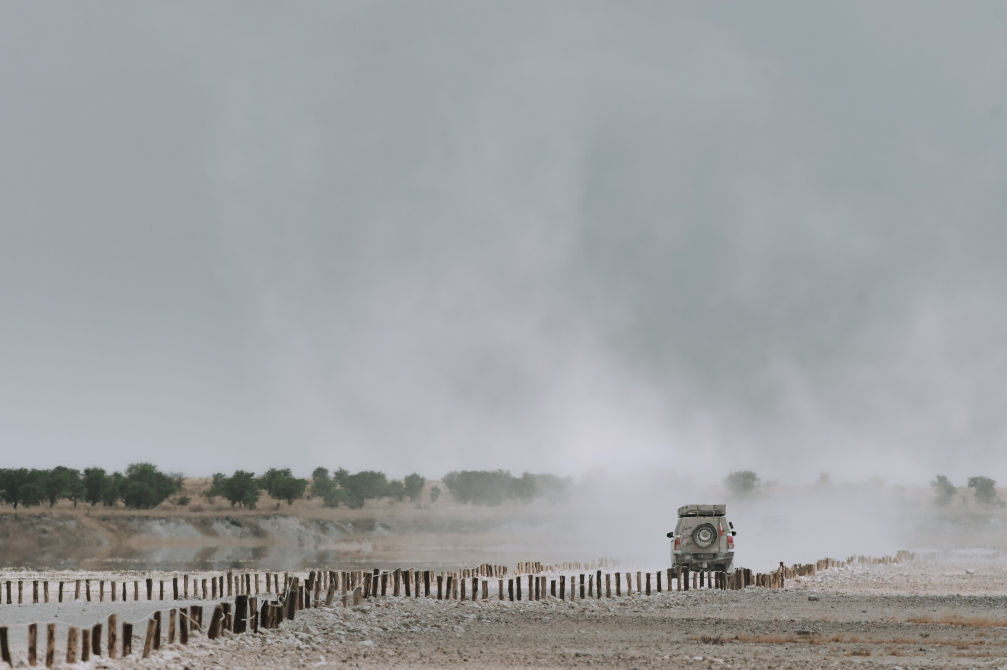 Game Drives im Etosha Nationalpark