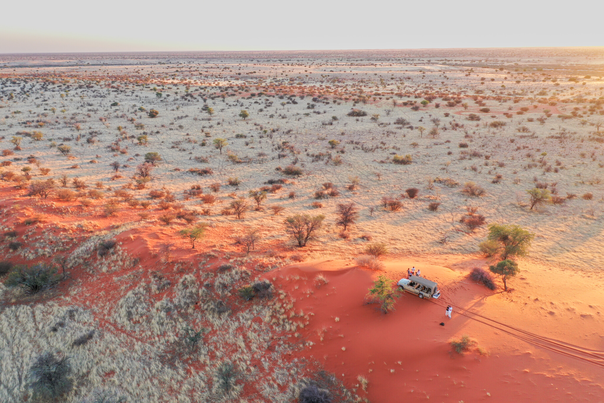 Safari in der Kalahari in Namibia