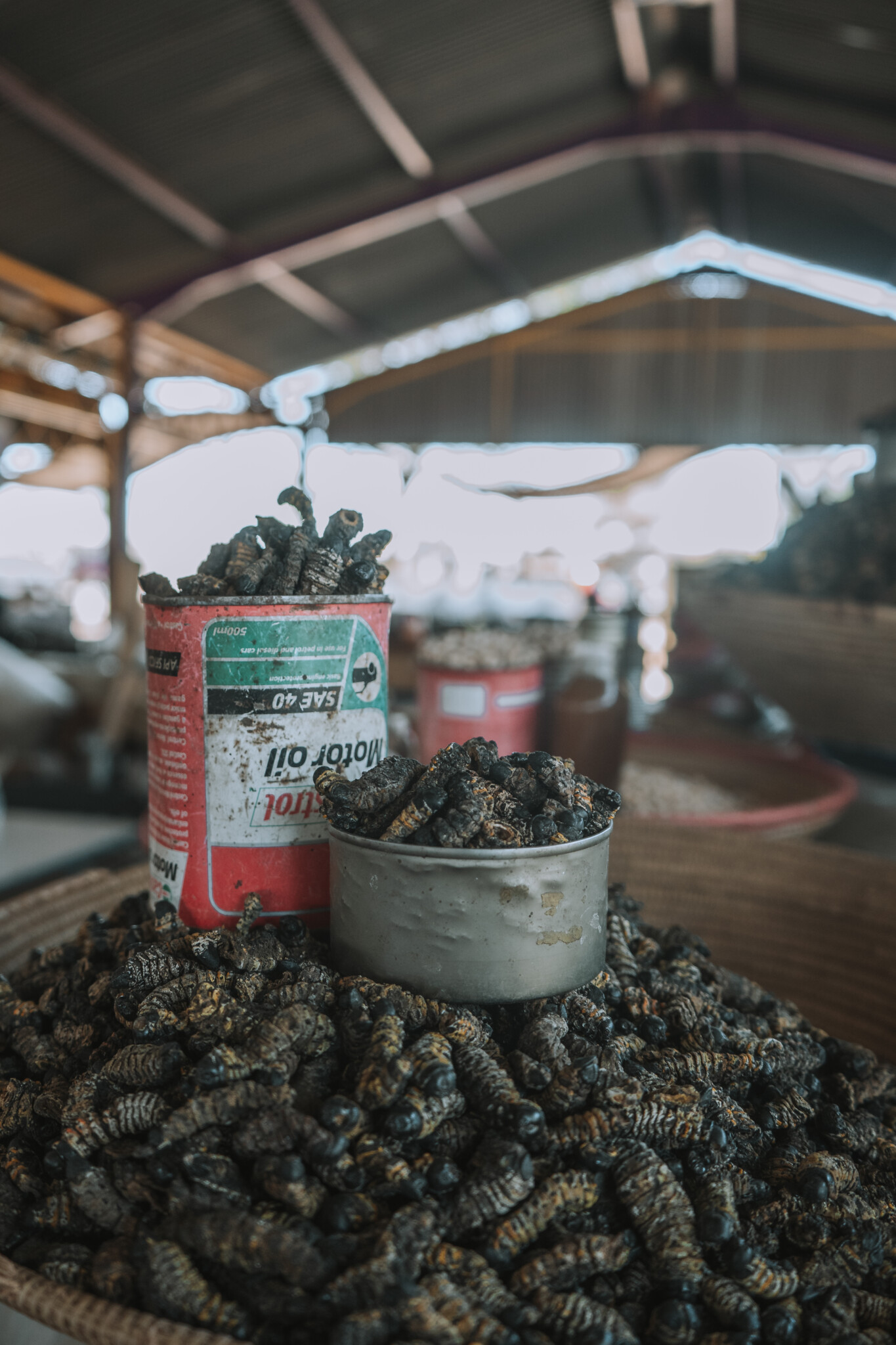 Mopane Raupen in Windhoek