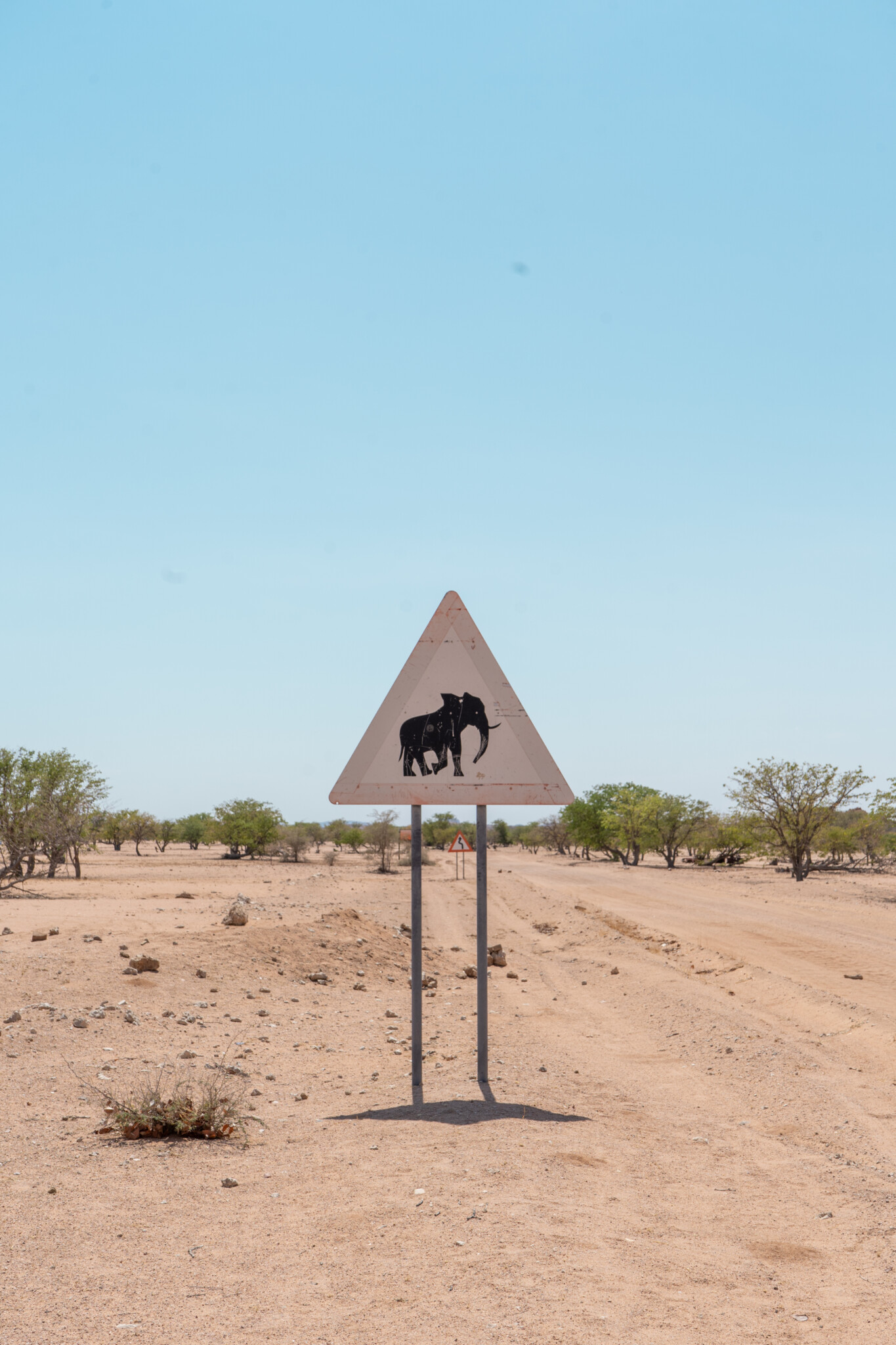 Selbstfahrersafari in Namibia