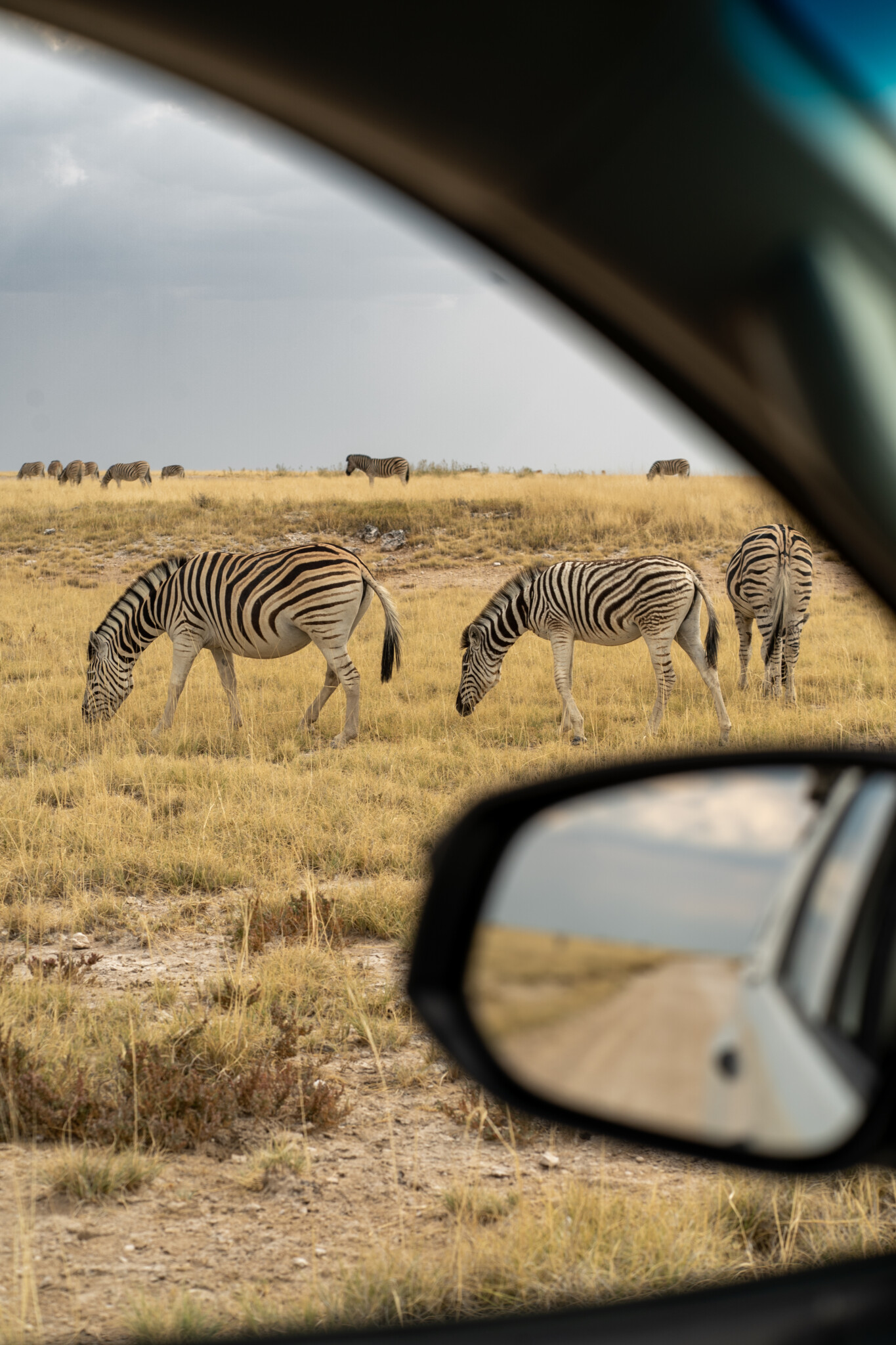 Namibia Sehenswürdigkeiten: Etosha Nationalpark