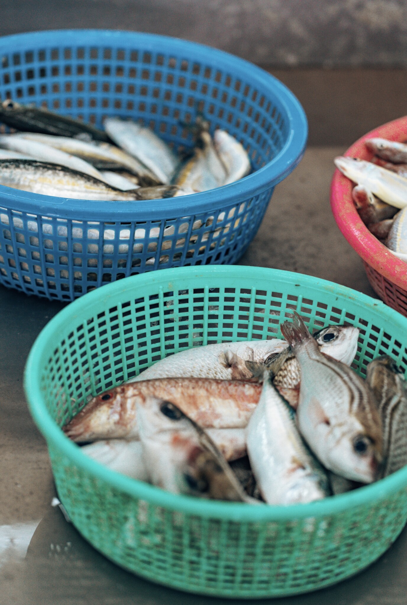 Fischmarkt in Maskat