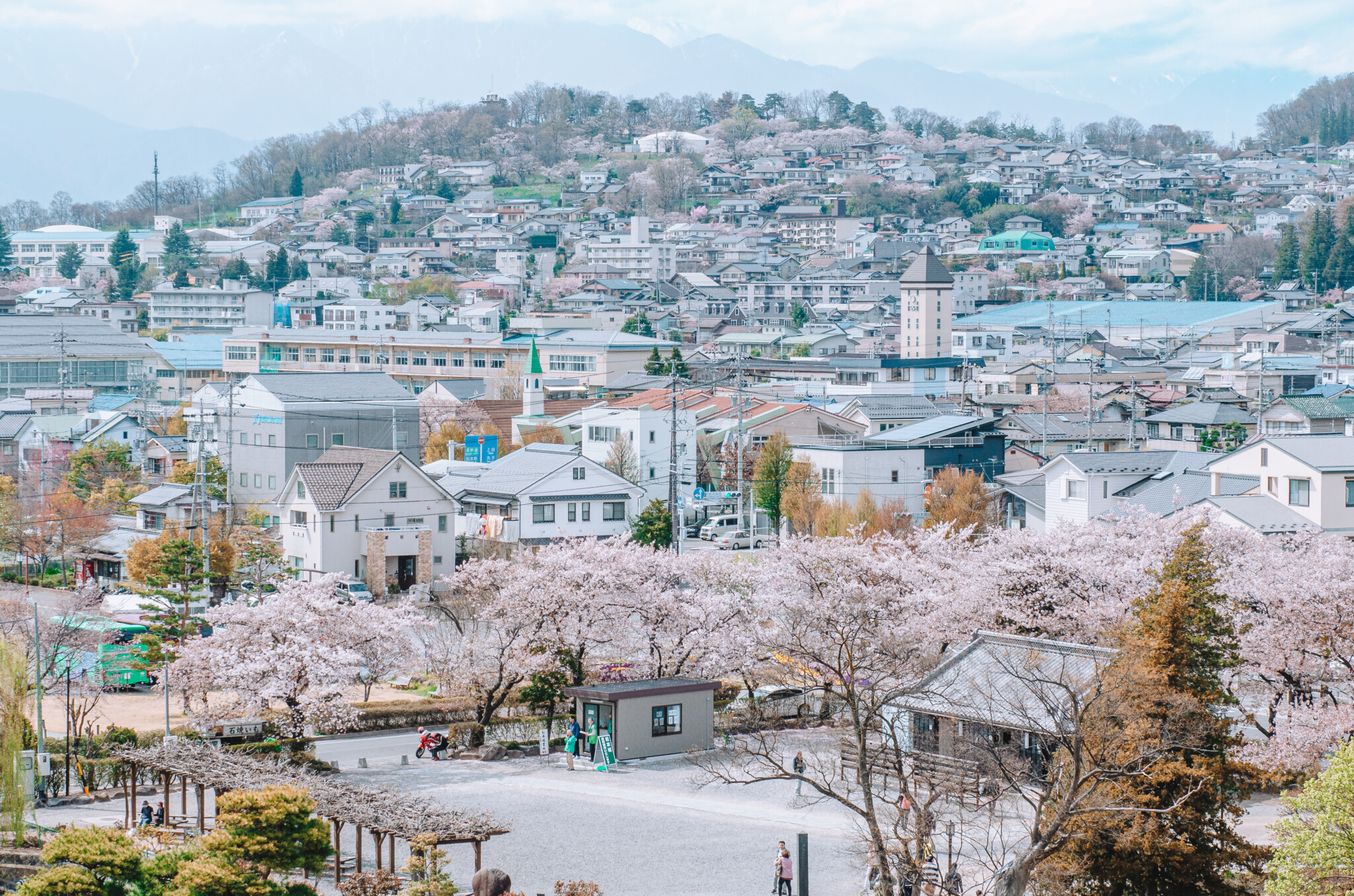 Kirschblüte in Matsumoto