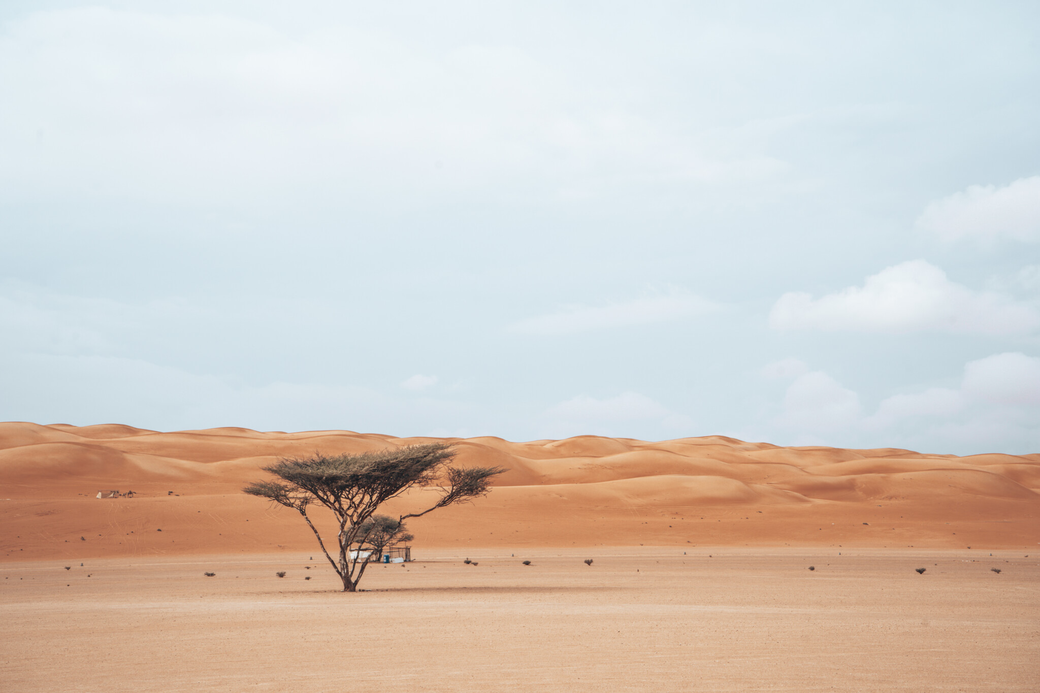 Die Wüste Wahiba Sands
