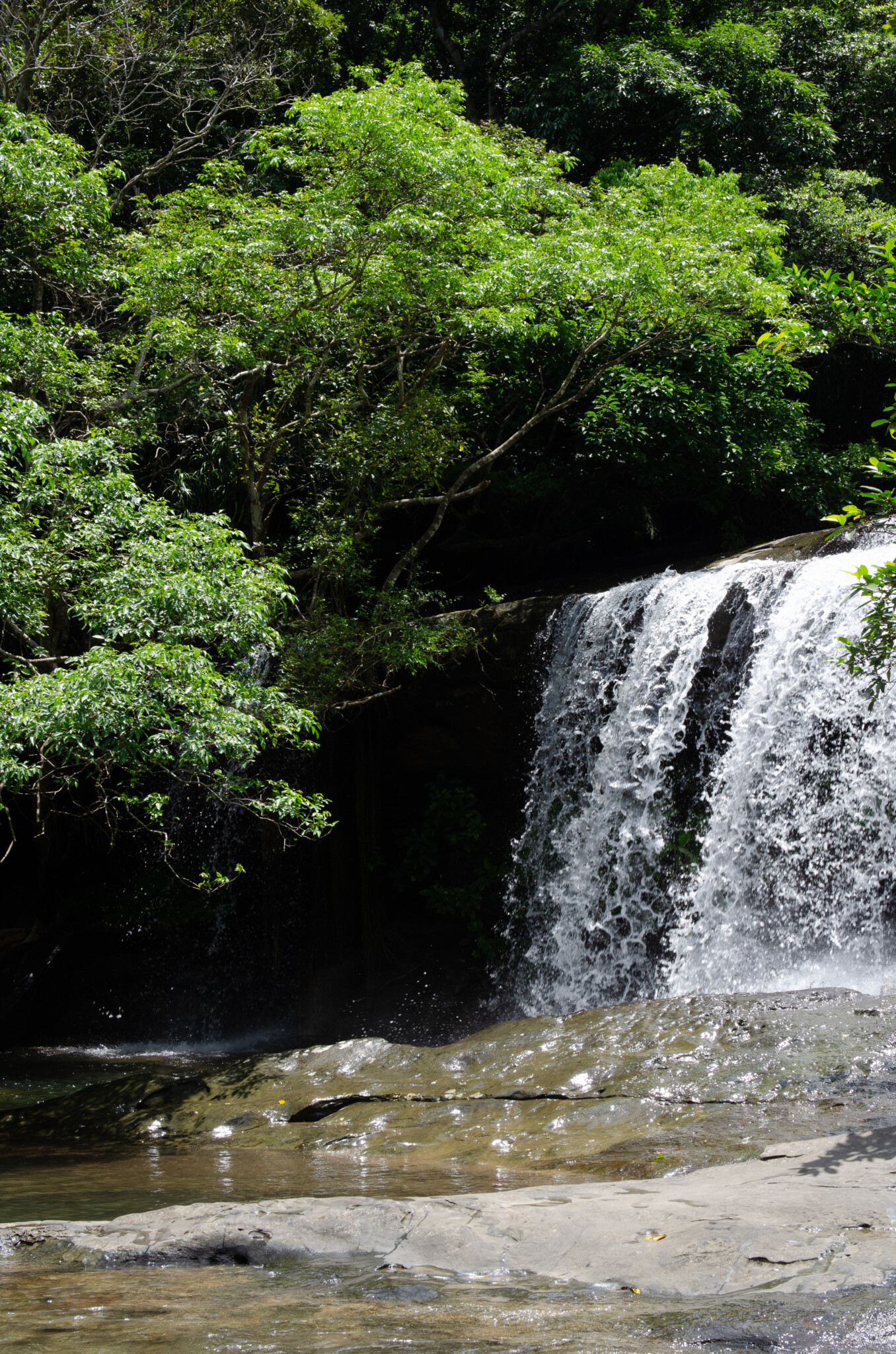 Sangara Wasserfall auf Iriomote