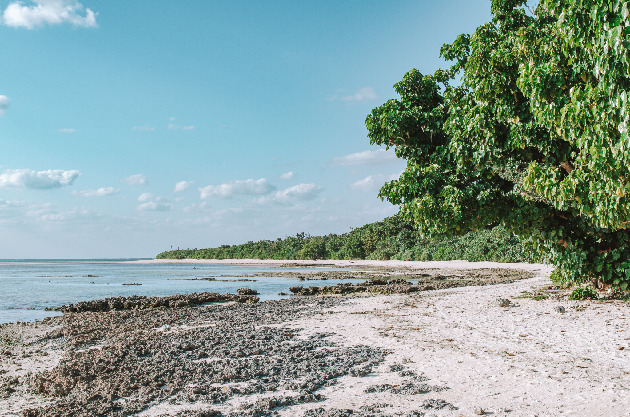 Taketomi-Insel der Yaeyama-Inseln