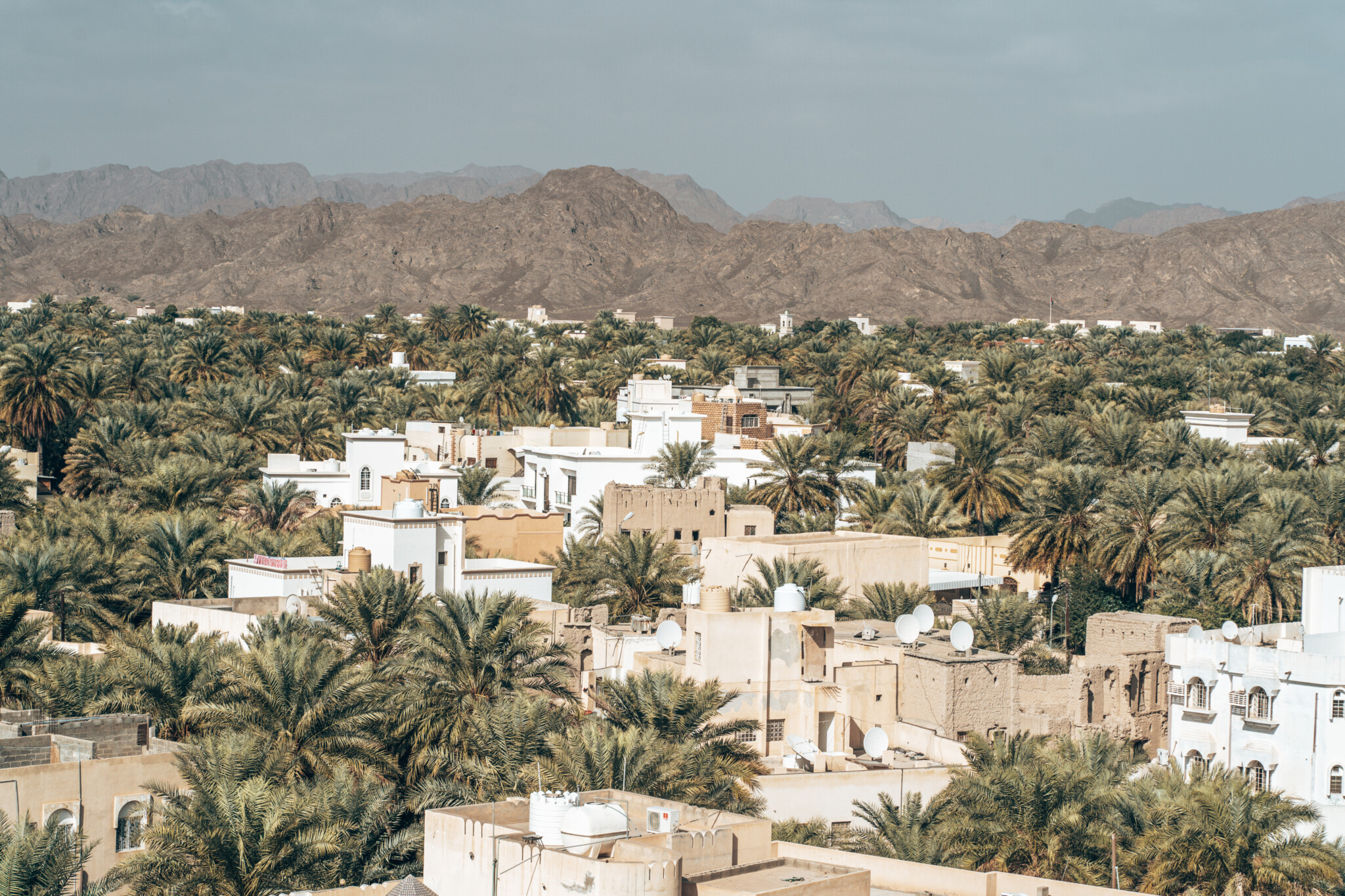 Ausblick über Nizwa