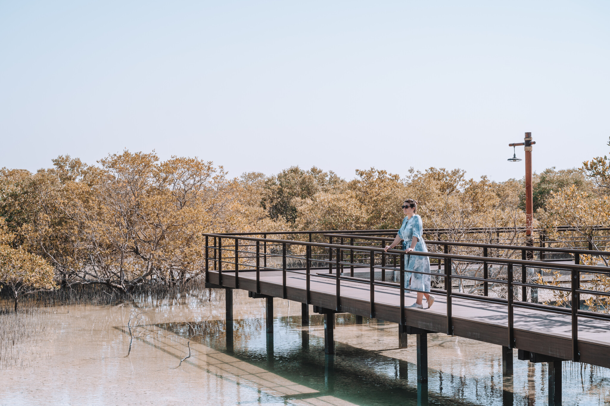 Jubail Mangrove Forest in Abu Dhabi