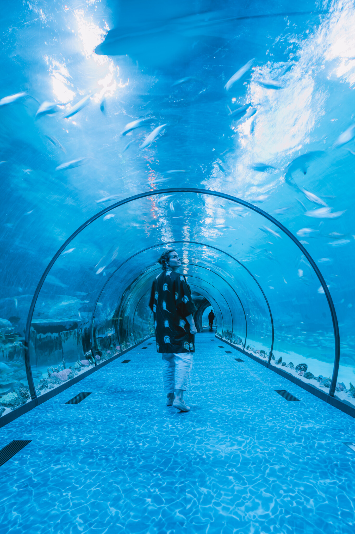 National Aquarium in Abu Dhabi