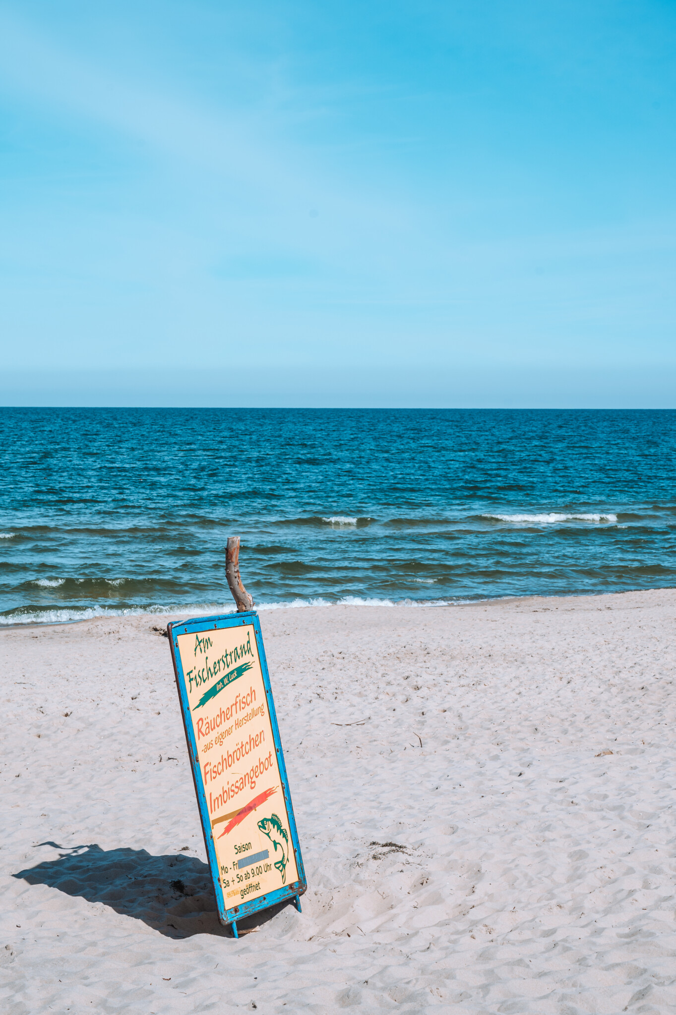 Fisch am Strand von Zinnowitz