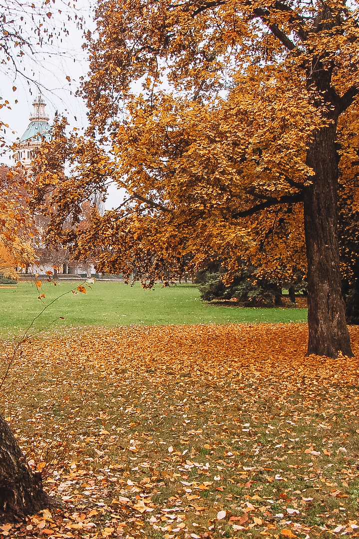 Die Margareteninsel bei Budapest im Herbst
