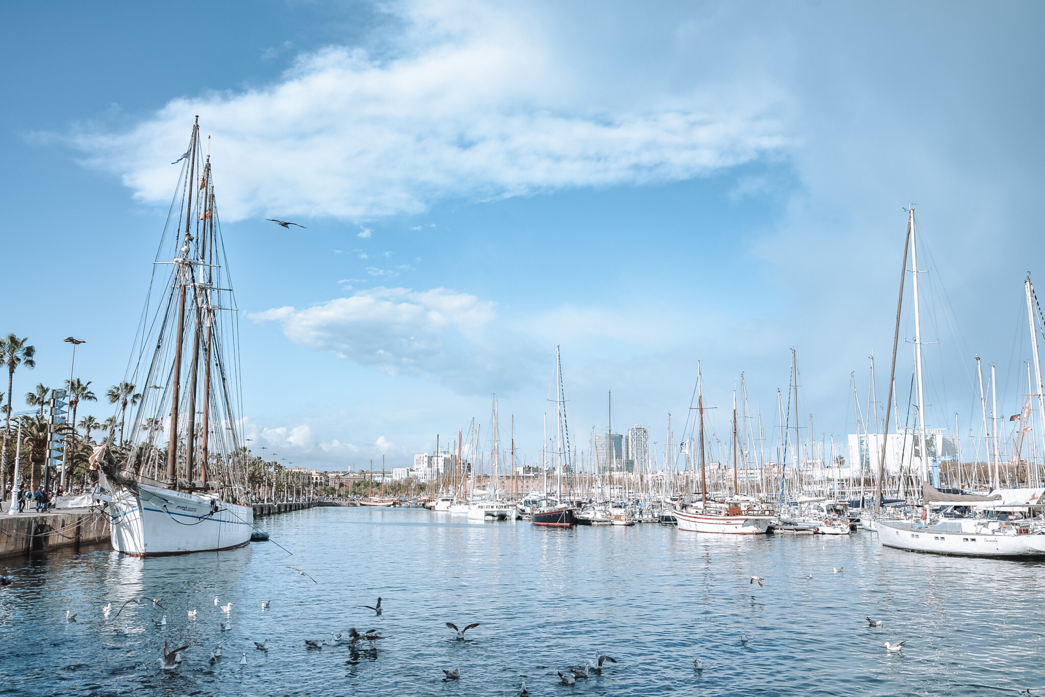 Schiffe im Hafen Port Vell in Barcelona