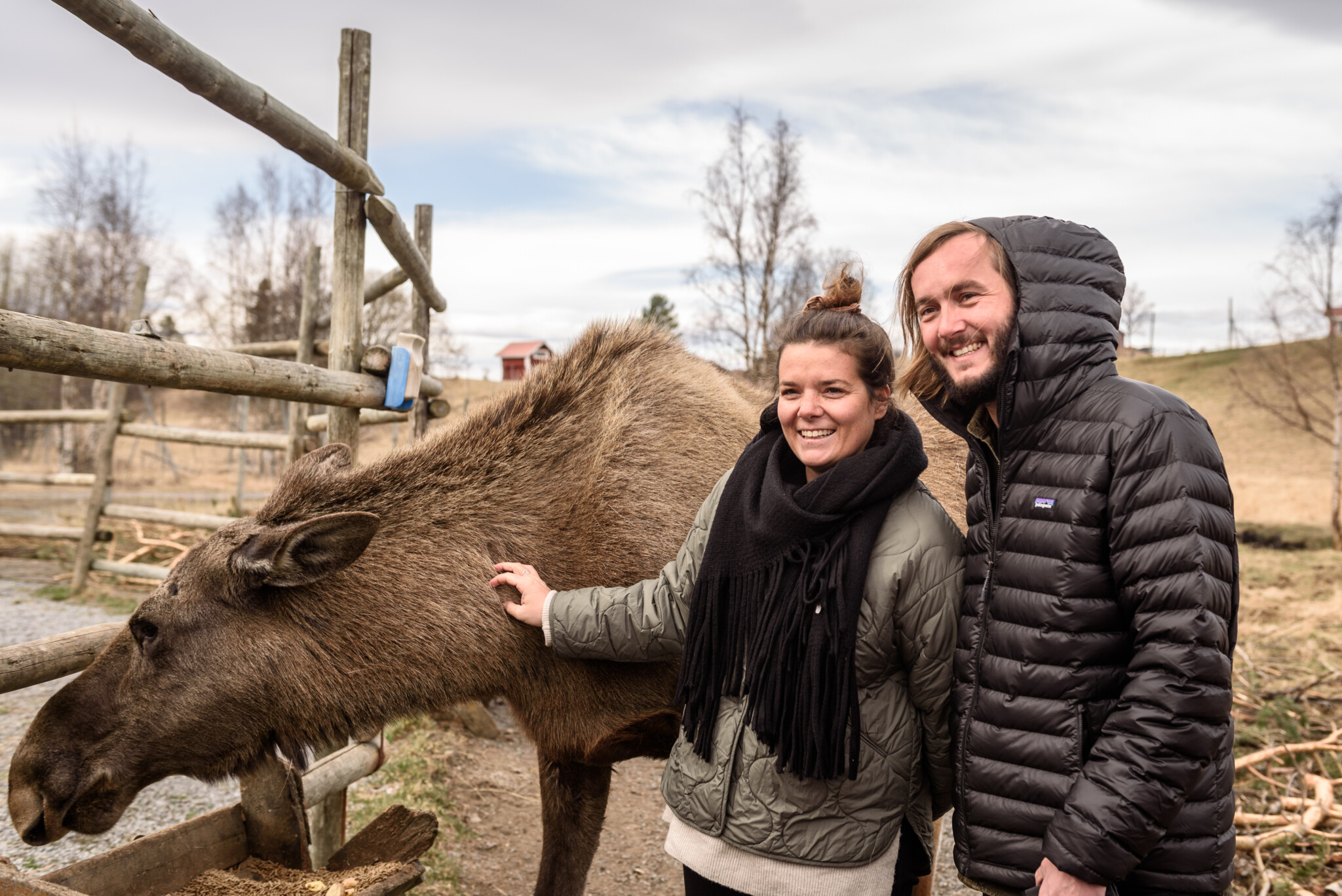 Moose Garden in Schweden