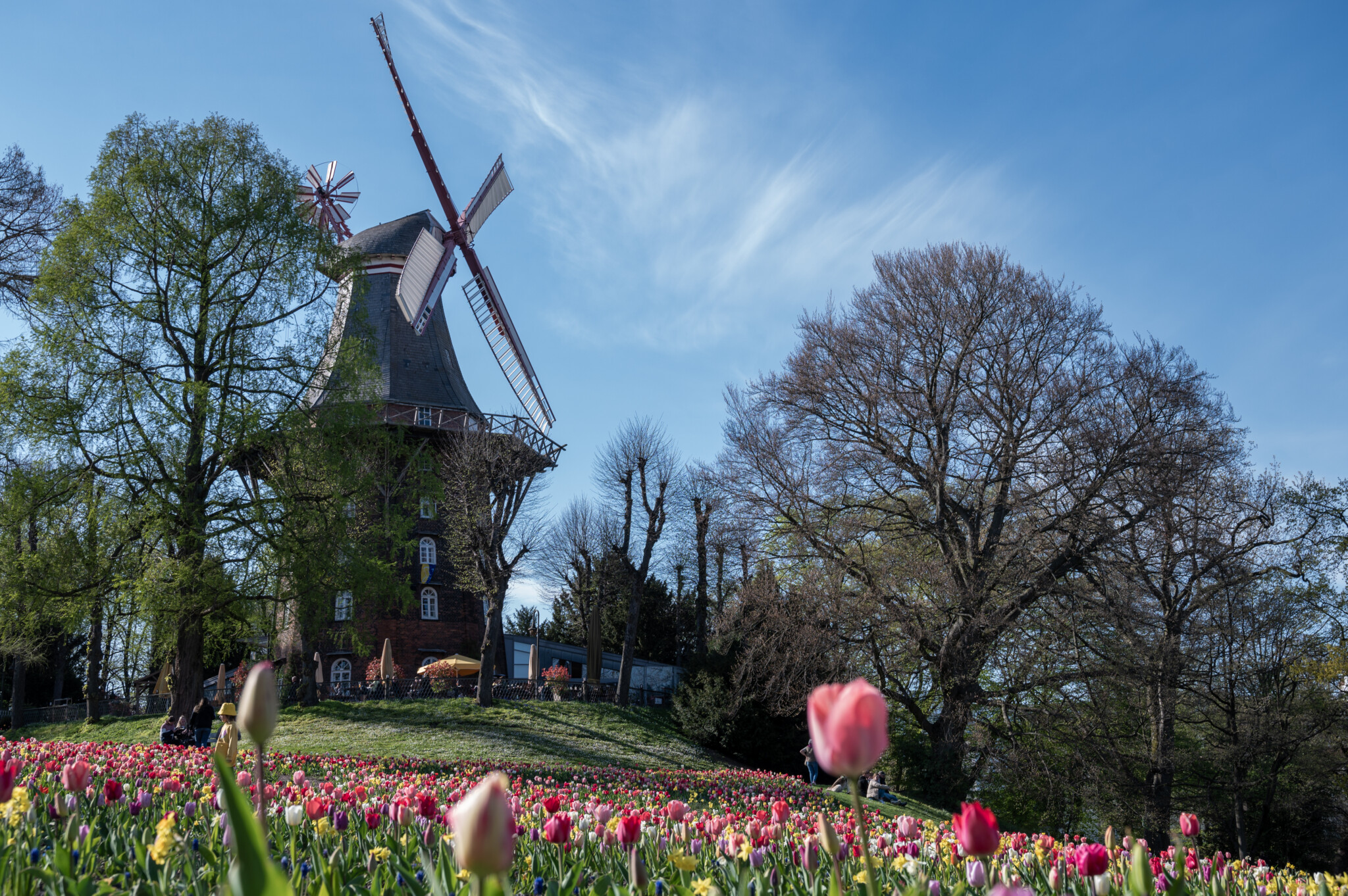 Die Mühle in den Bremer Wallanlagen