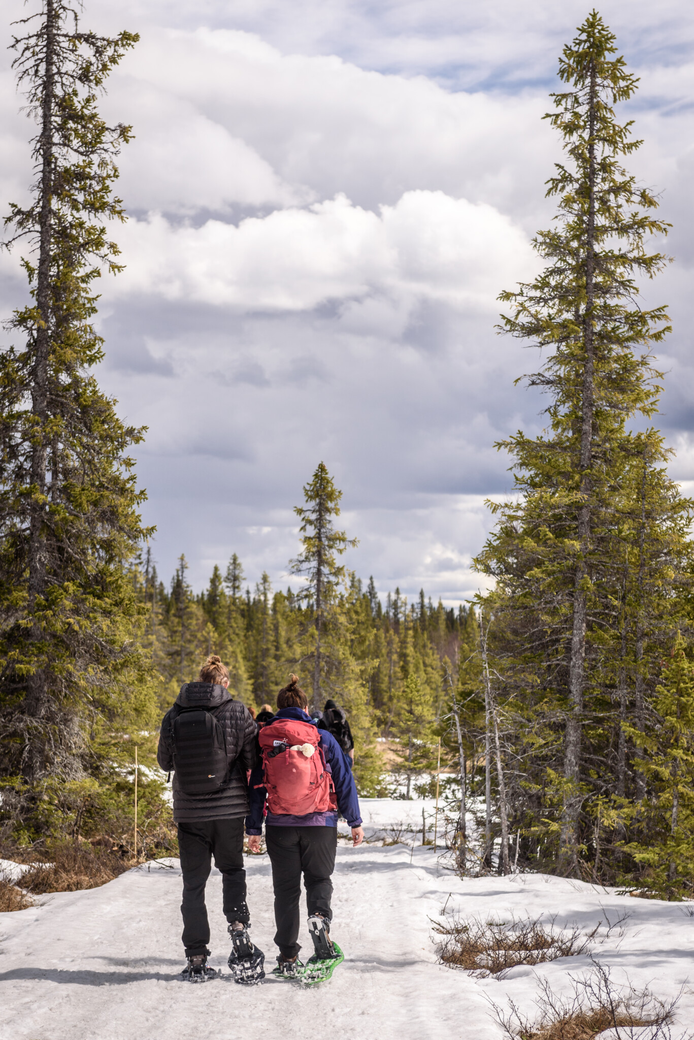 Schneeschuhwandern in Östersund