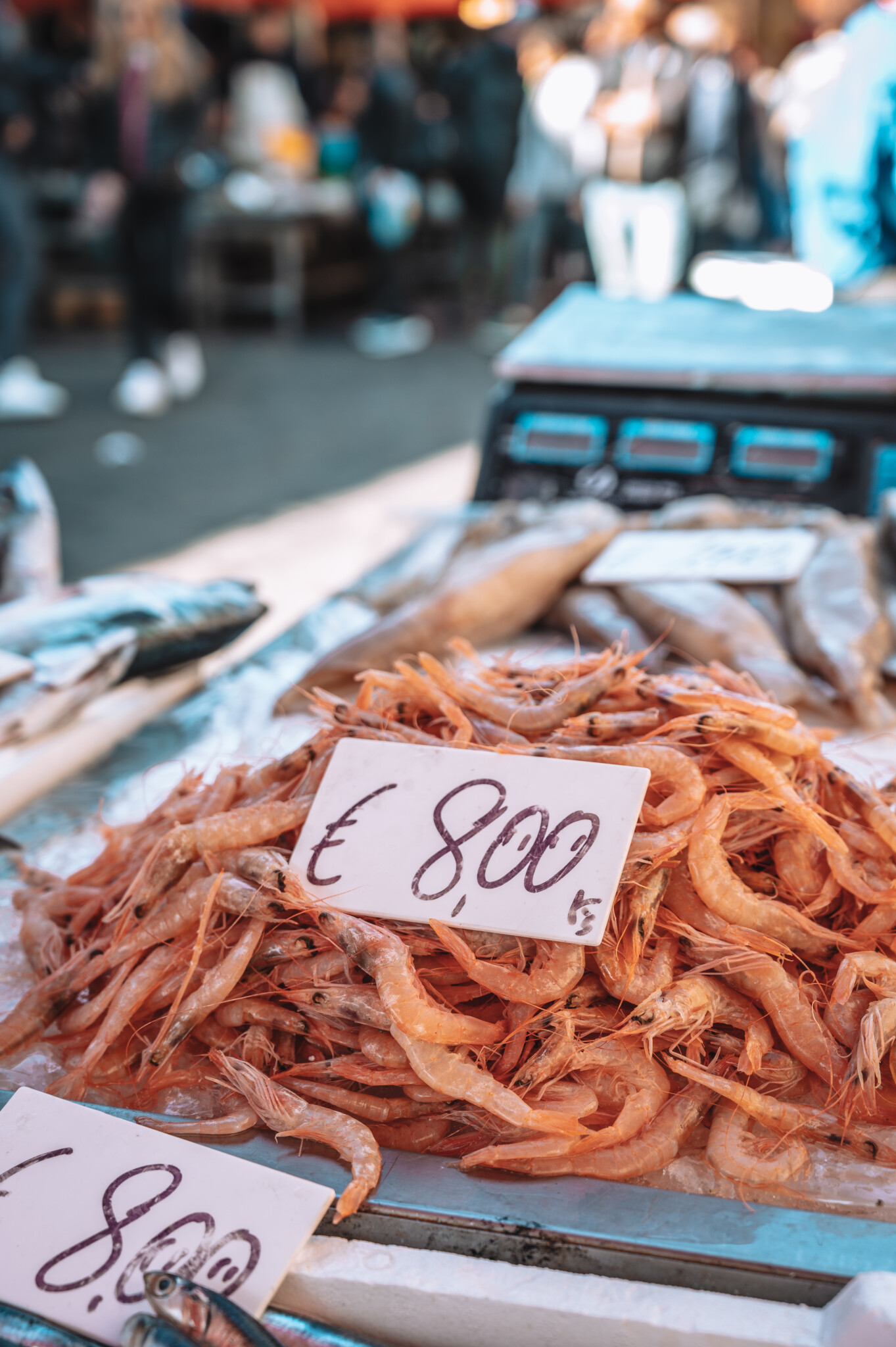 Garnelen auf Catanias Fischmarkt La Pescheria