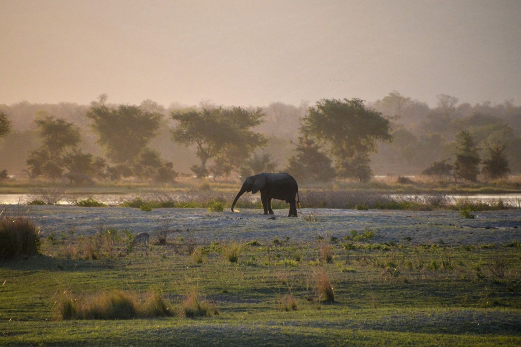 Hwange-Nationalpark in Simbabwe in Afrika