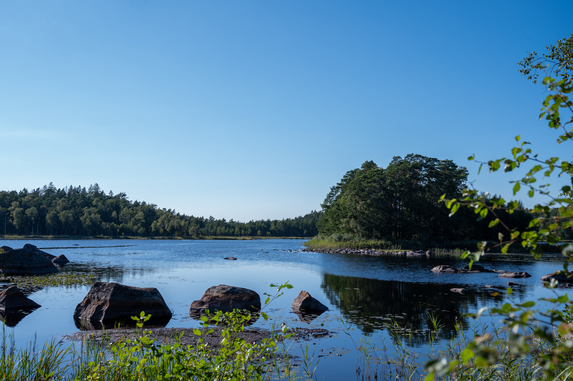 Asnen Nationalpark in Småland in Schweden