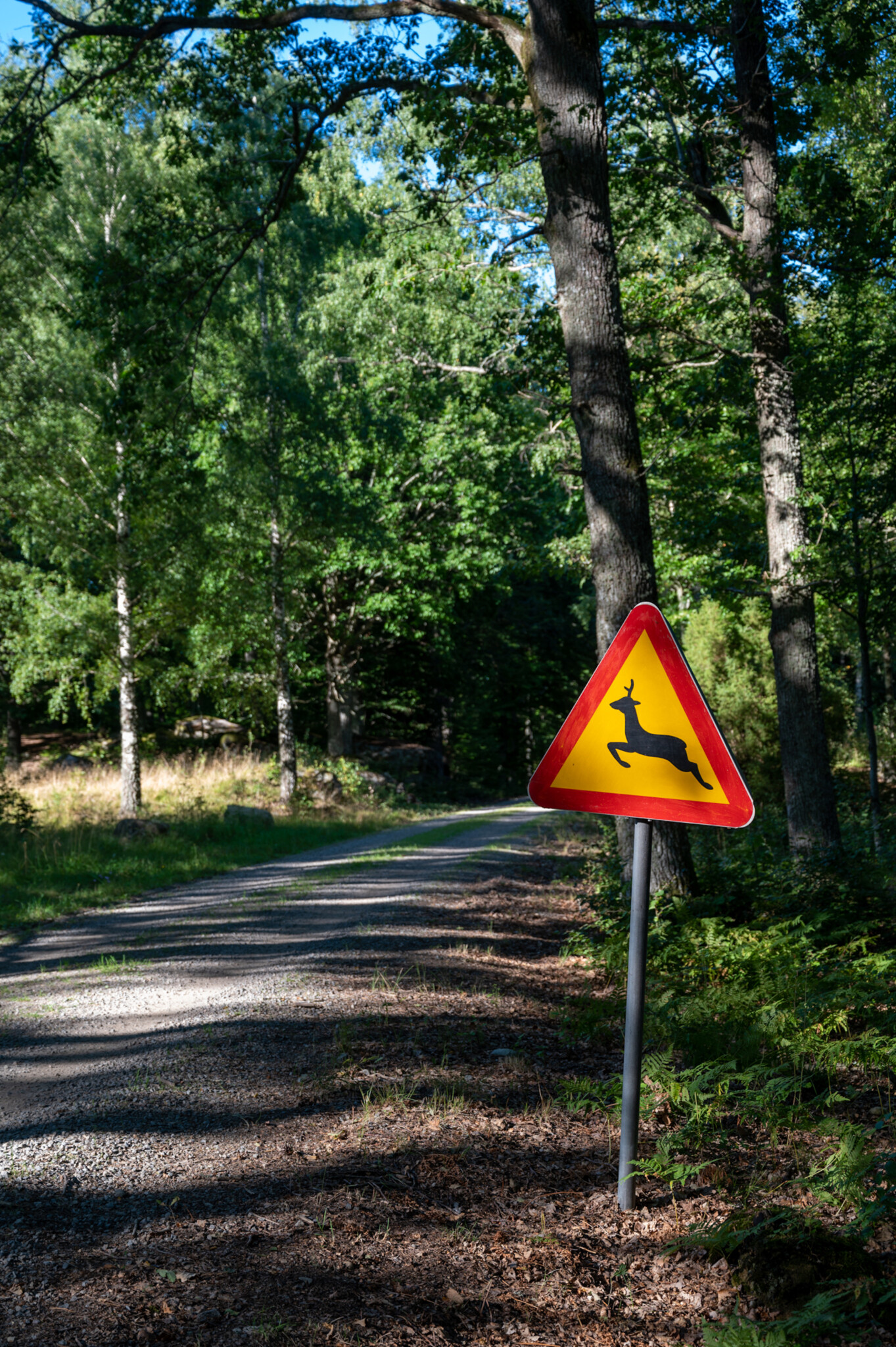 Verkehrsschild im Asnen Nationalpark