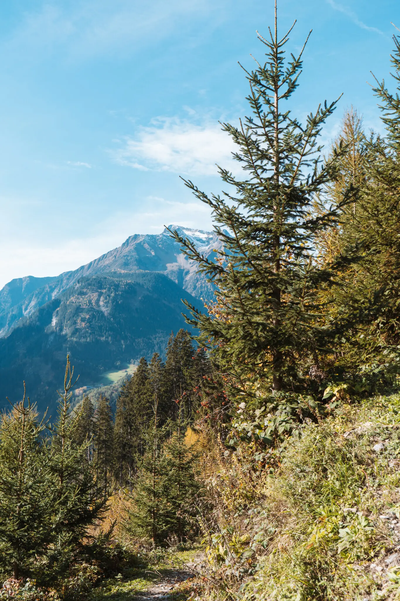 Landschaft rund um das Alpinhotel Berghaus Tux im Zillertal
