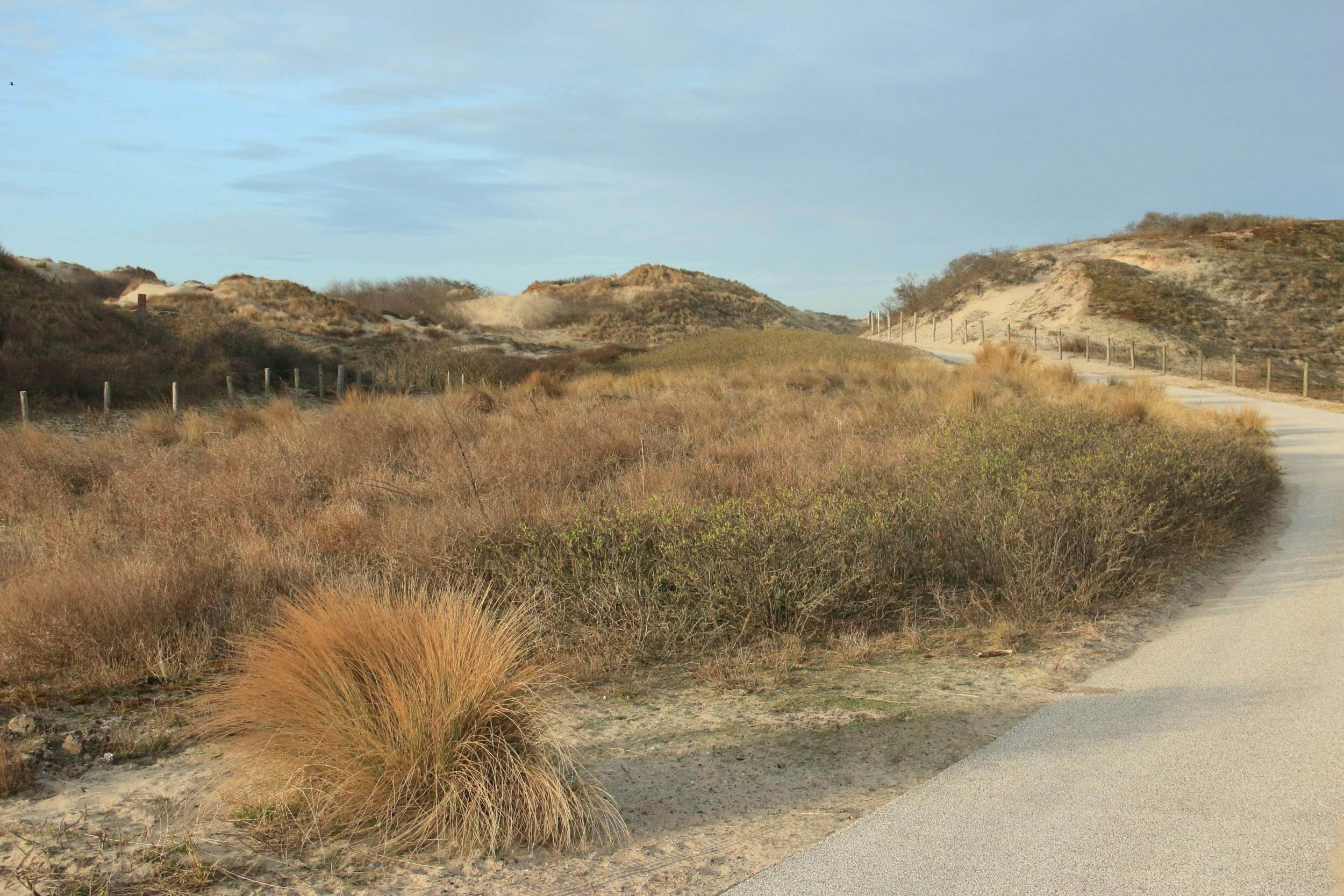 Mitten durch die Dünen führen euch Fahrradwege in das Hinterland von Scheveningen