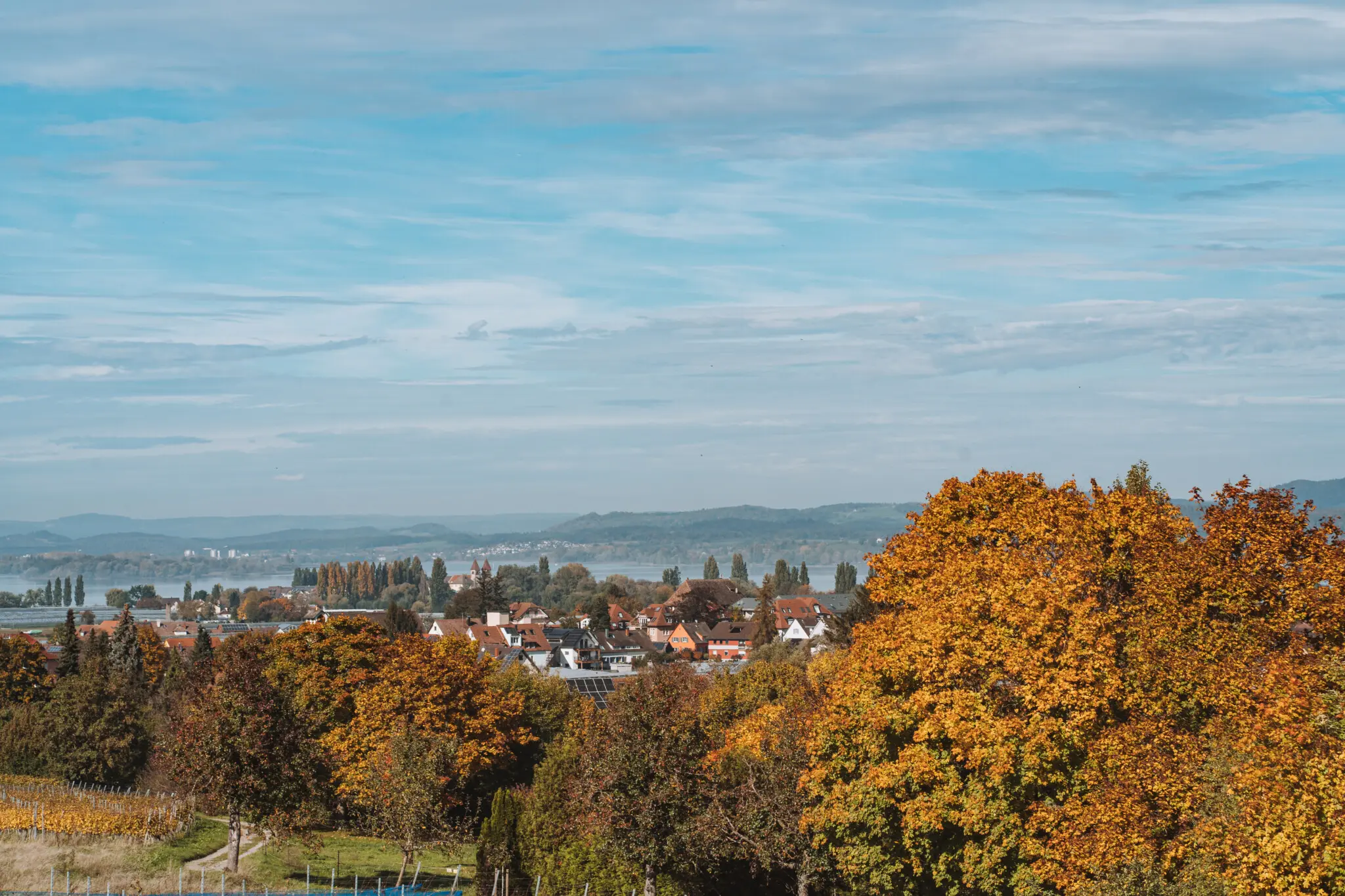 Der Ausblick von der Insel auf den Bodensee ist herrlich