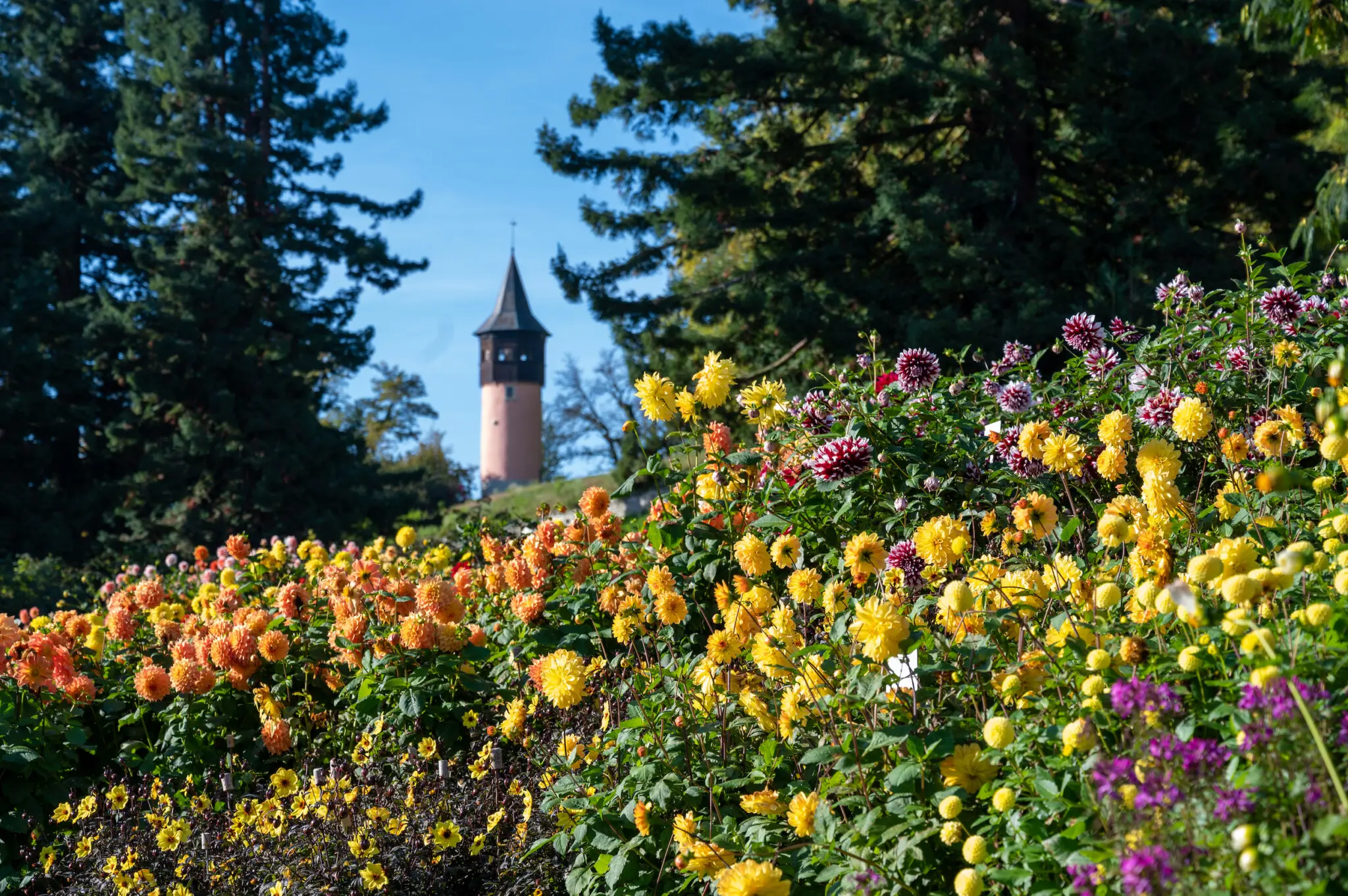 Blumeninsel Mainau
