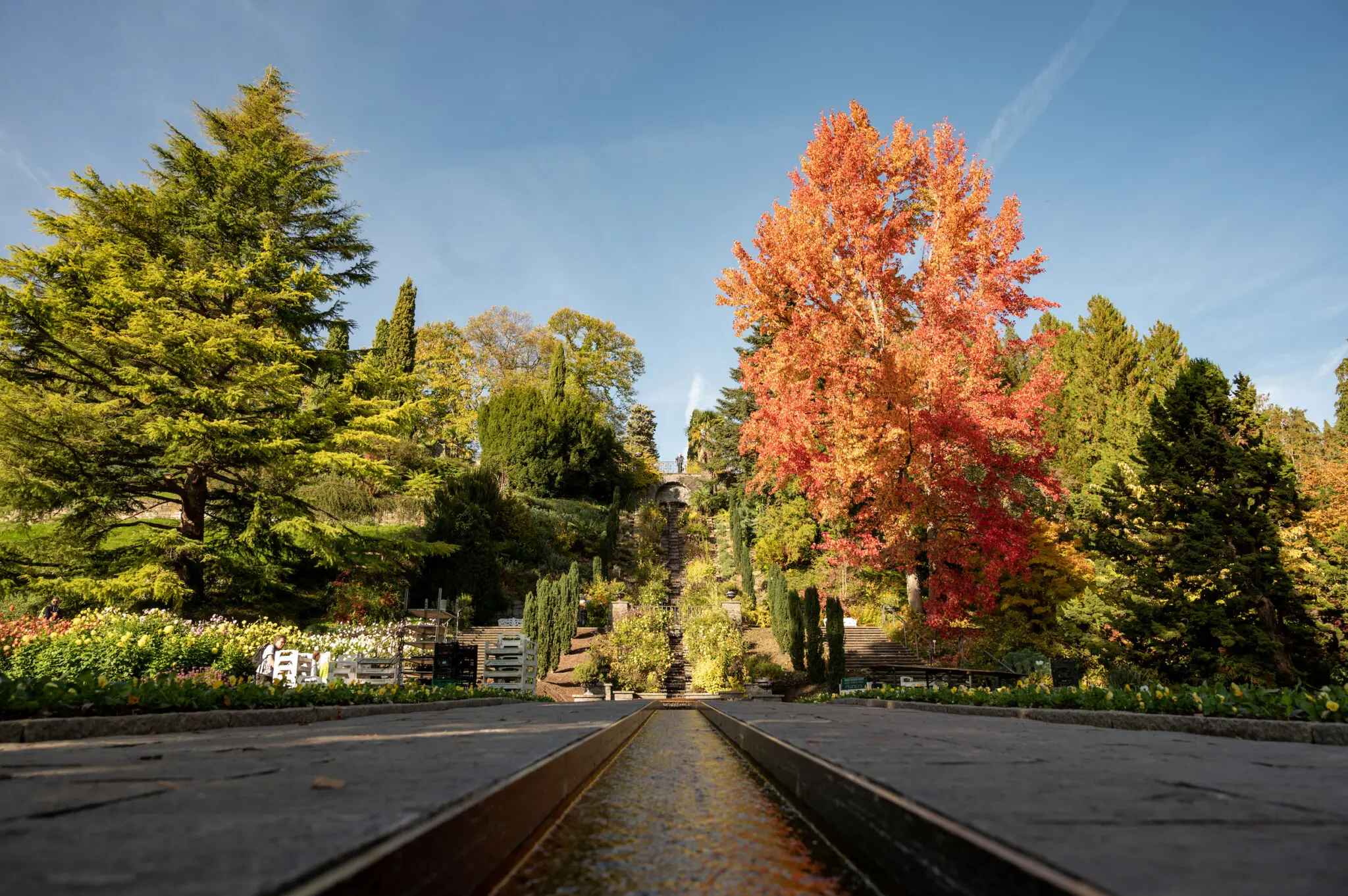 Besonders im Herbst ist die Insel Mainau definitiv einen Besuch wert