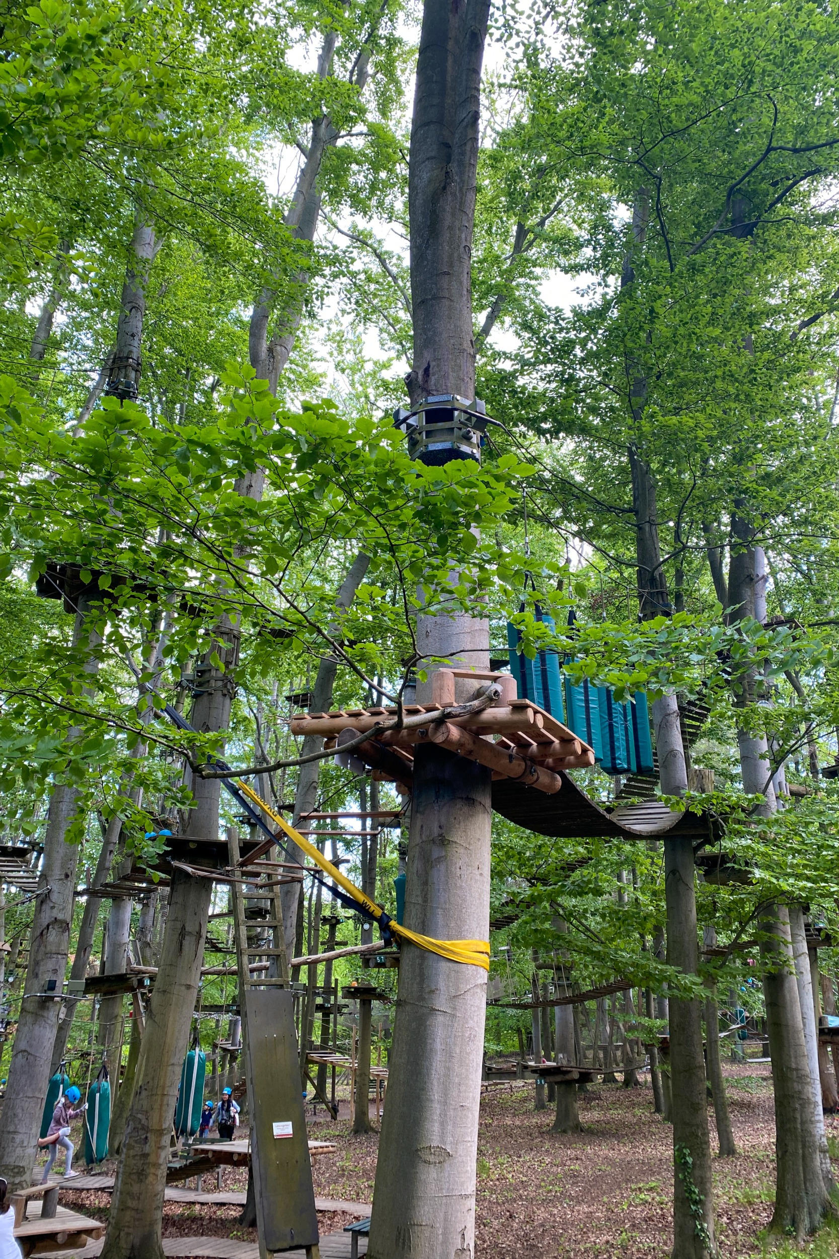Kletterwald in Potsdam