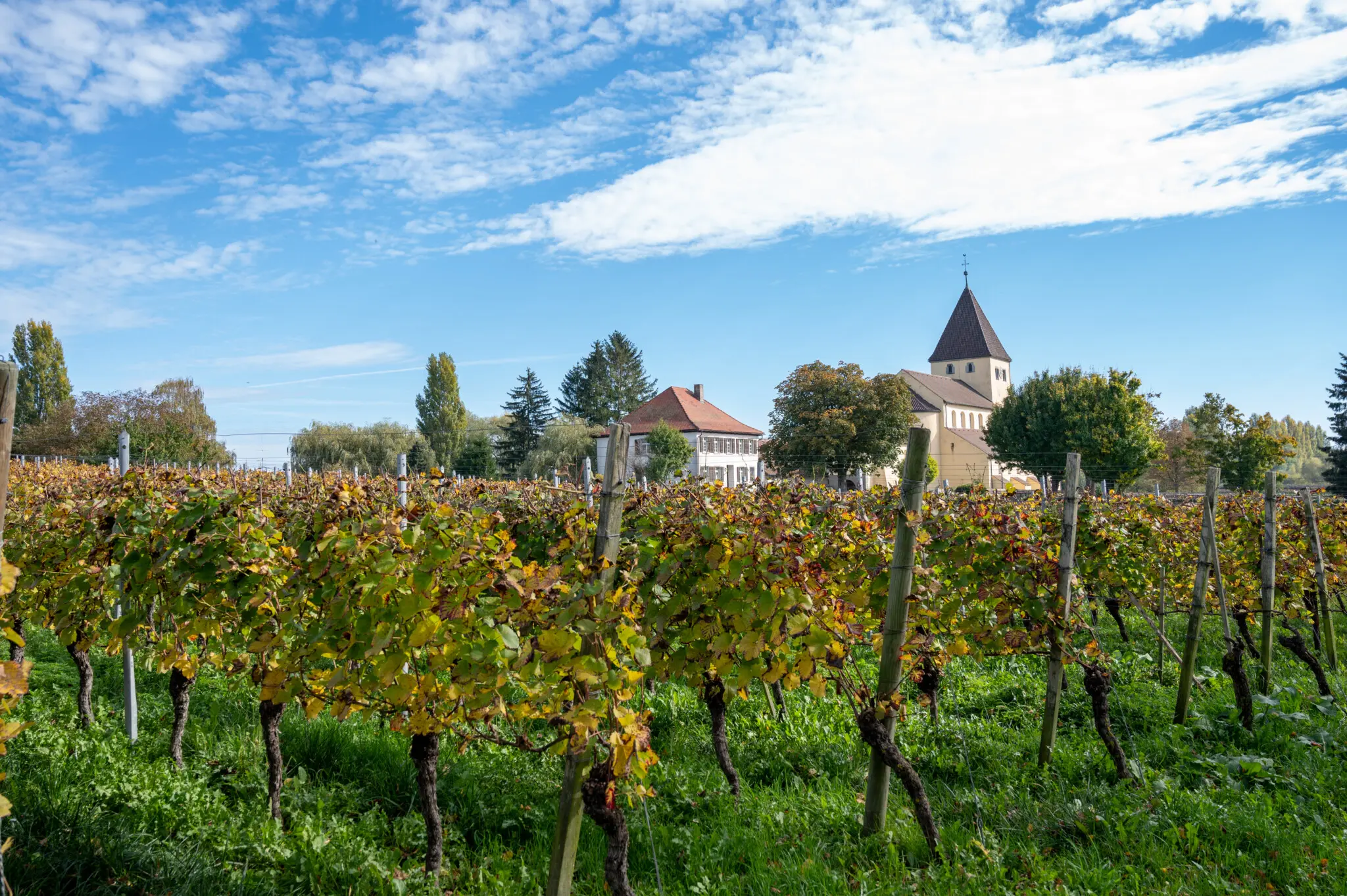 Die Gemüseinsel Reichenau ist ein toller Tagesausflug am Bodensee