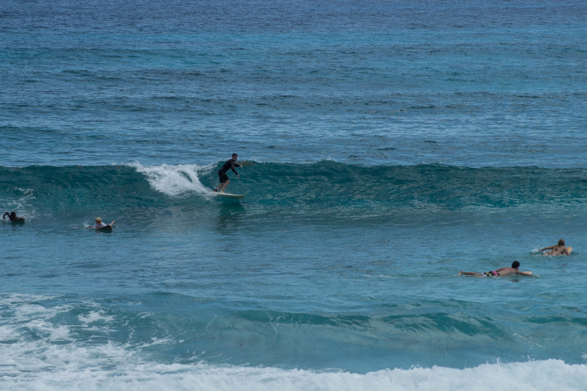 Surfen kann man auf Eleuthera auf den Bahamas auch ganz gut
