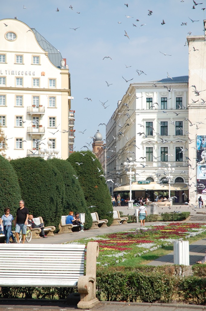 Timişoara Tipps für die Kulturhauptstadt 2023