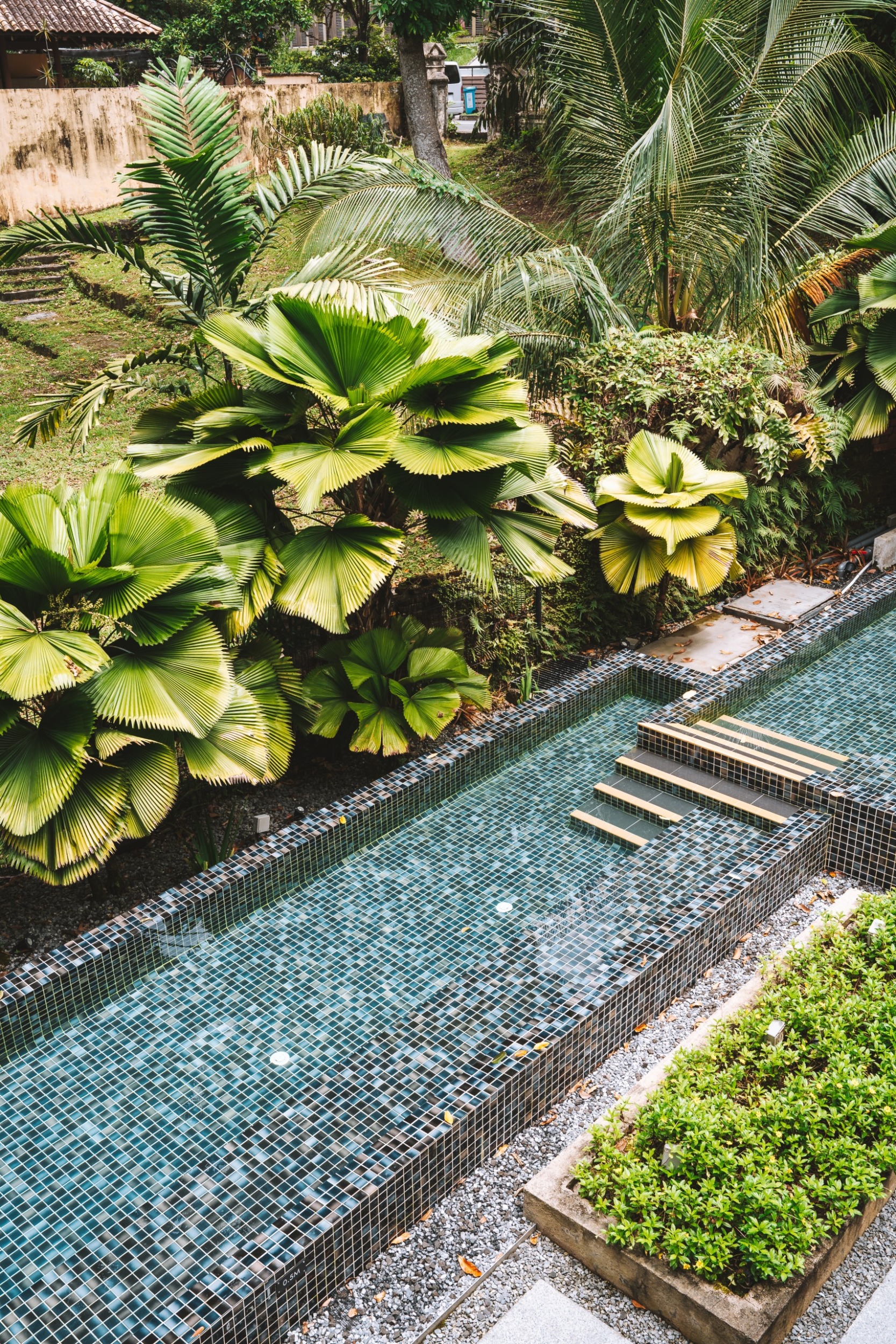 Der Pool im Lloyd's Inn Singapur ist vom Garten umgeben
