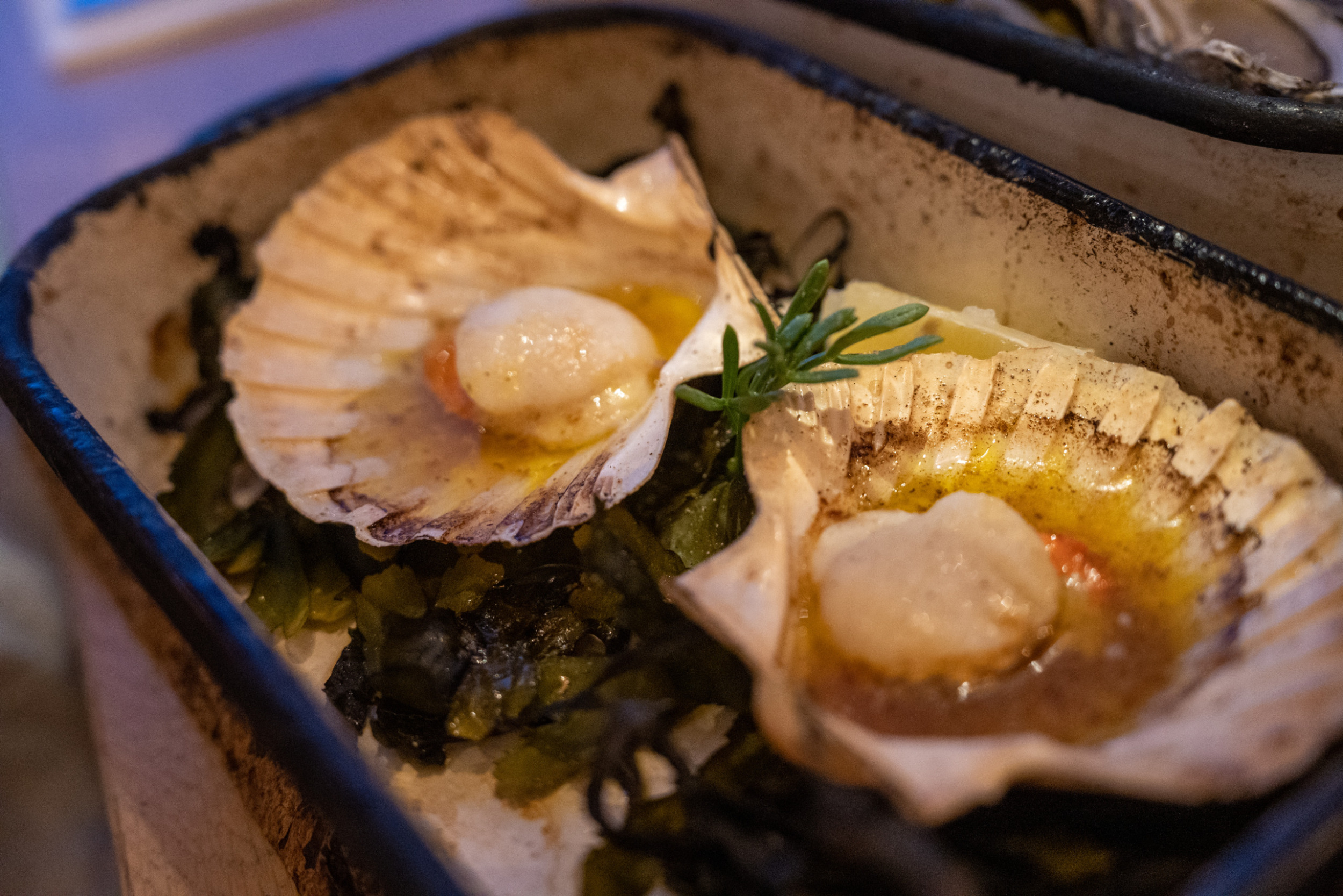 Im Octopus solltet ihr unbedingt die Jakobsmuscheln probieren