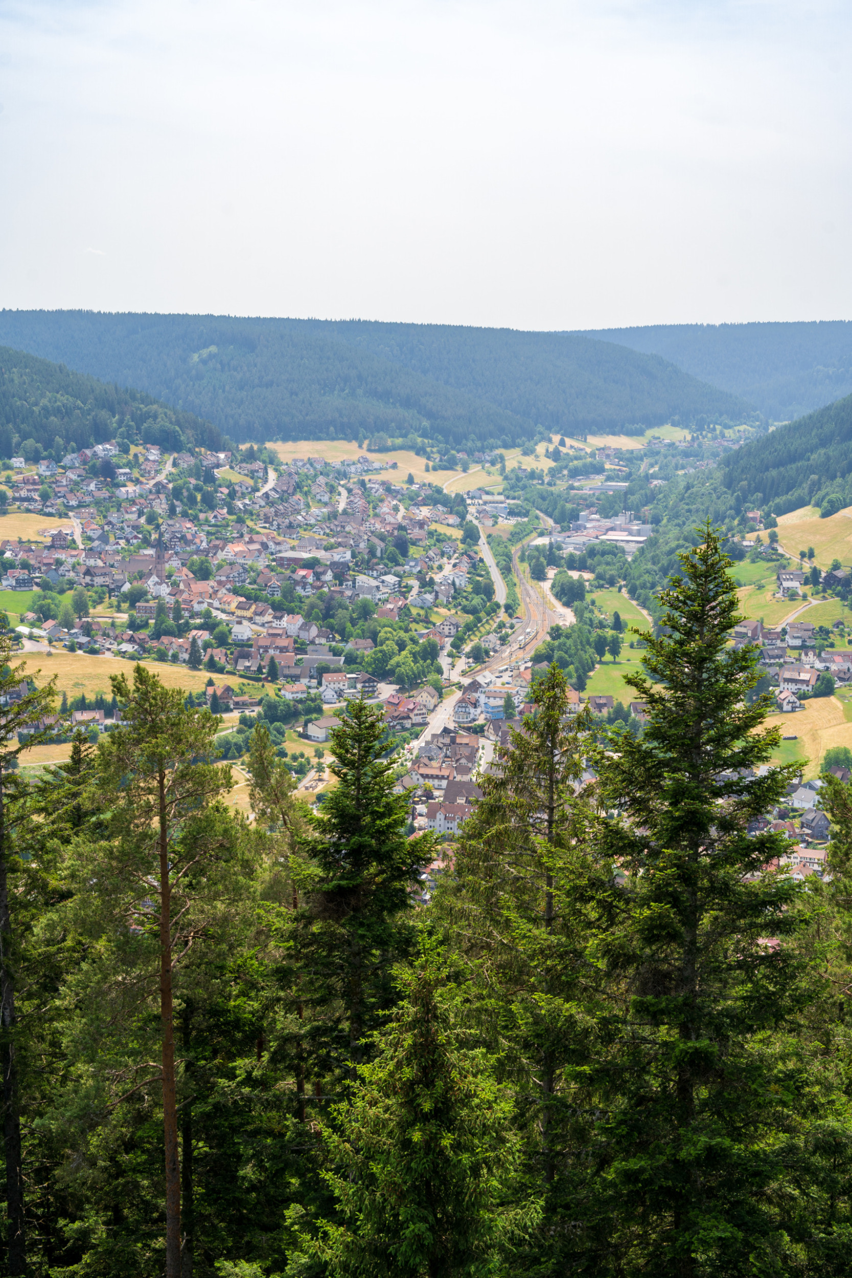 Vom Rinkenturm aus blickt ihr quer über Baiersbronn