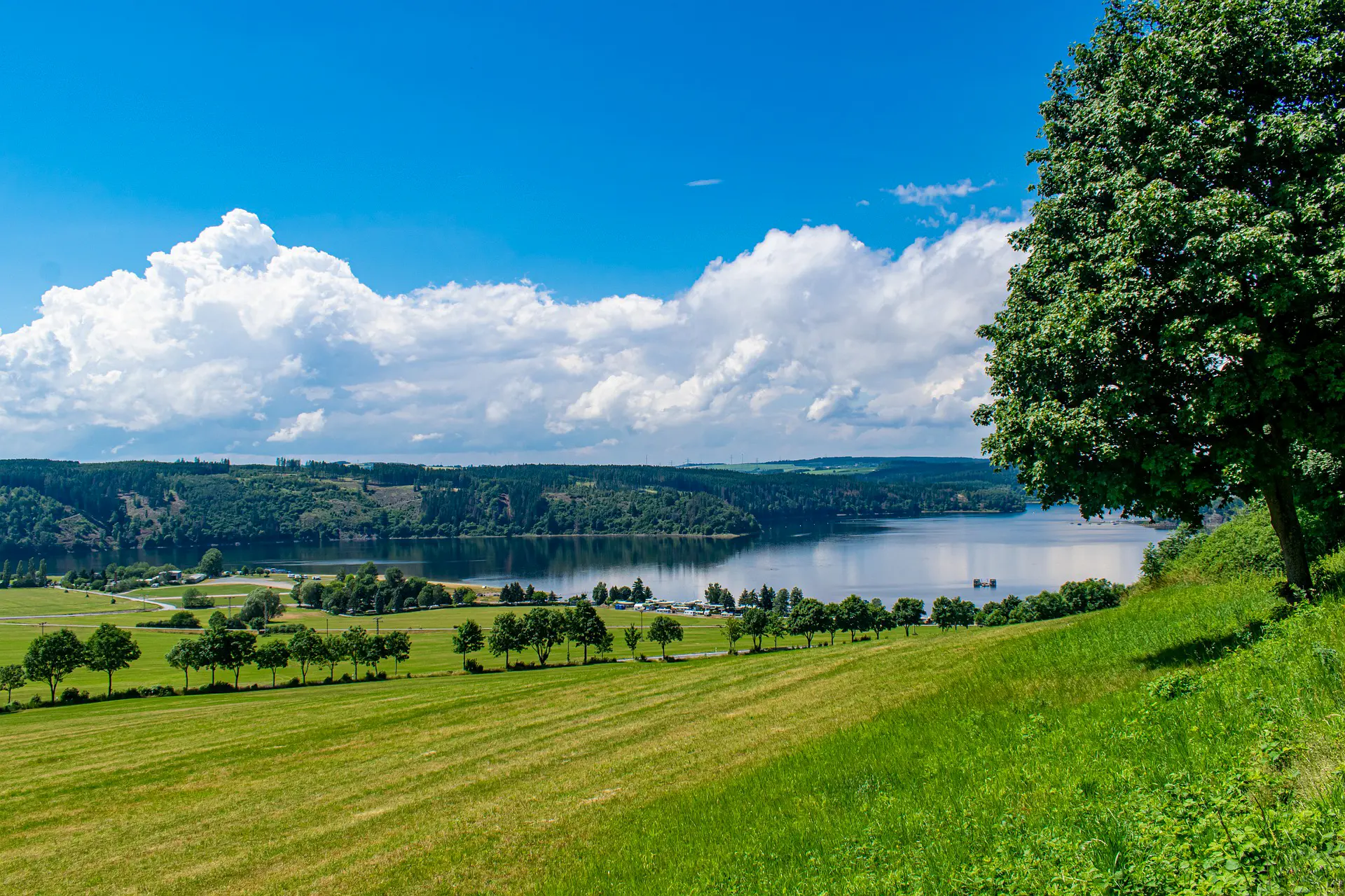 Die Bleilochtalsperre, auch Thüringer Meer genannt, ist eine Talsperre in Thüringen